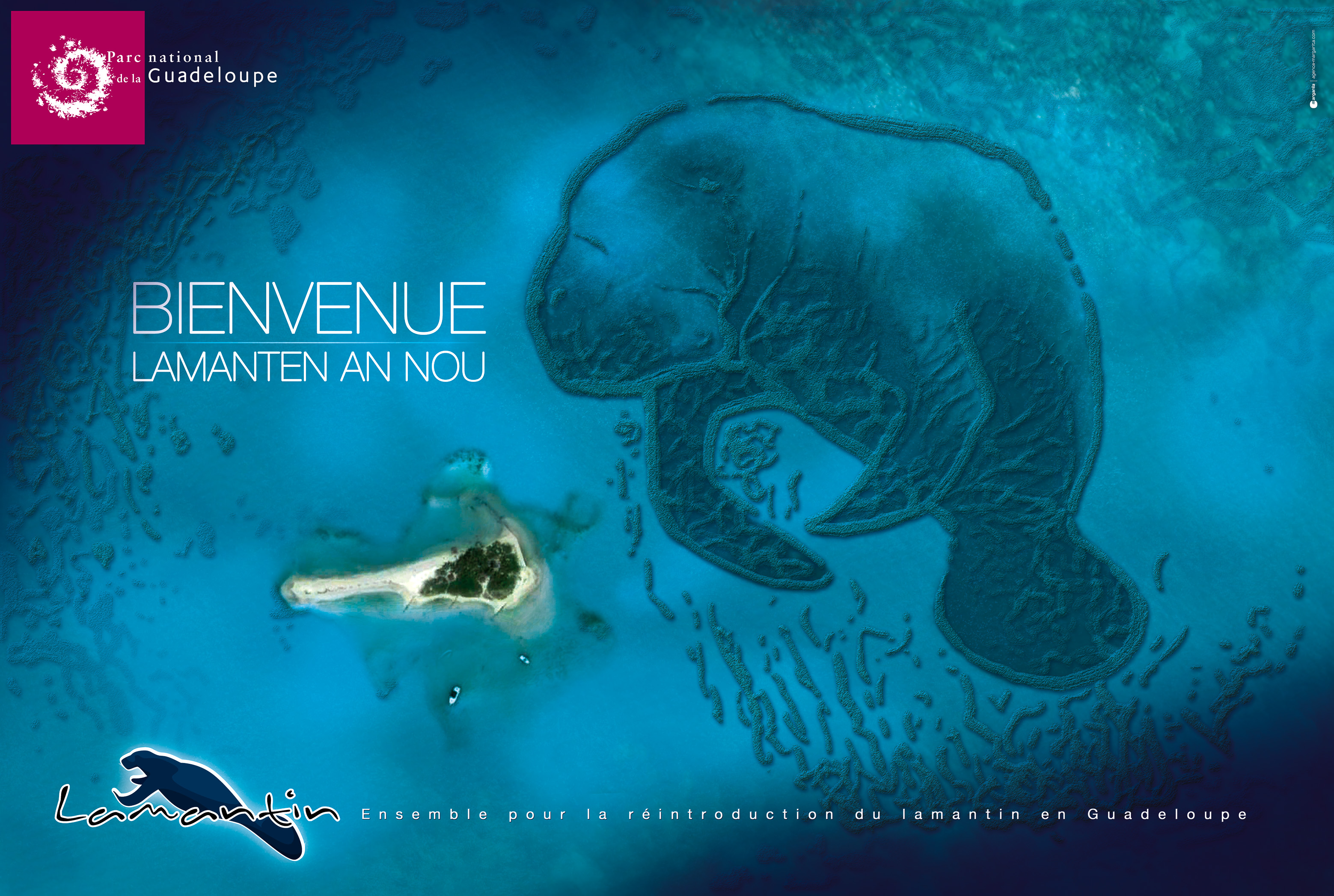 Affiche 40 x 60 cm à l'italienne de la campagne en version créole.