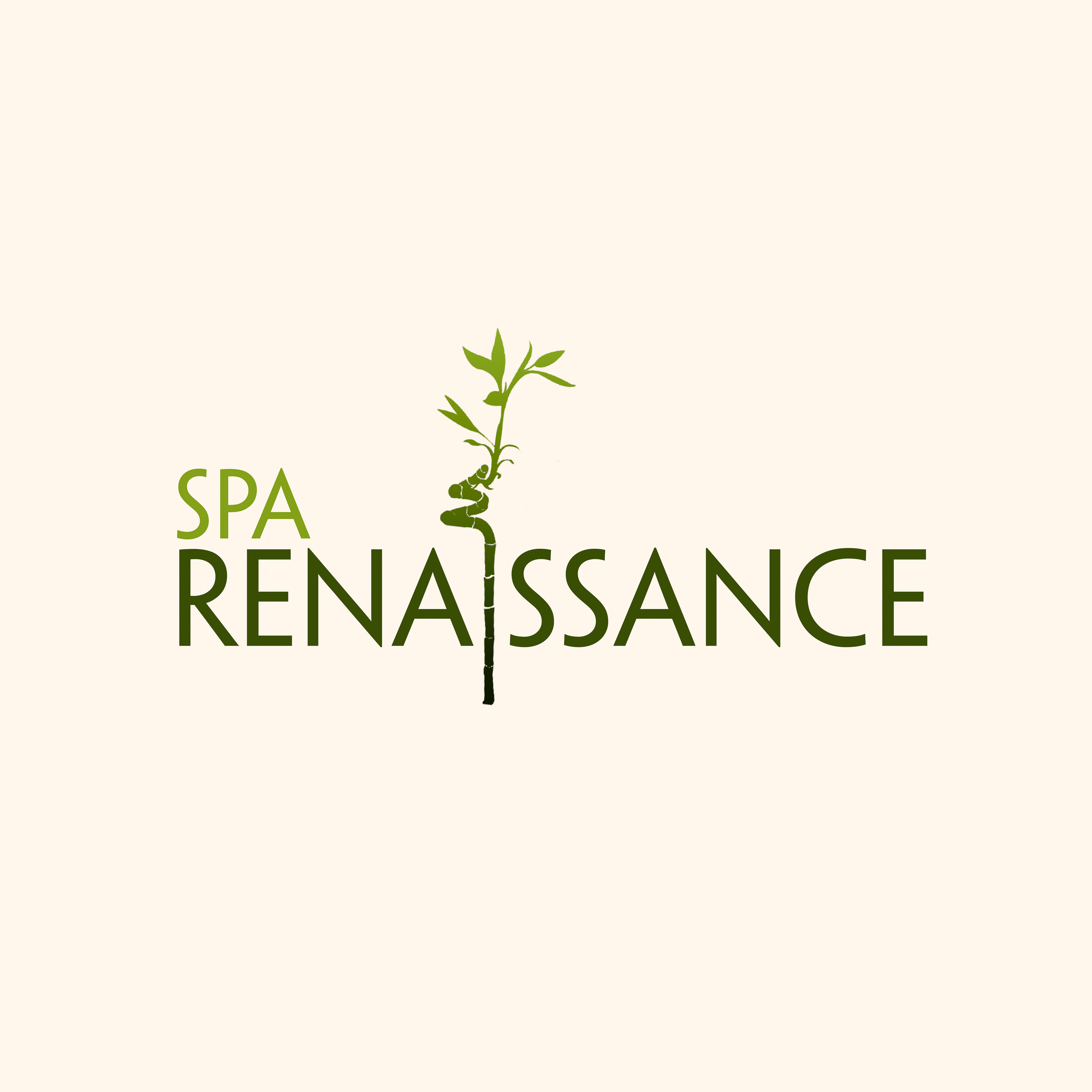 Logotype (avant-projet non réalisé)