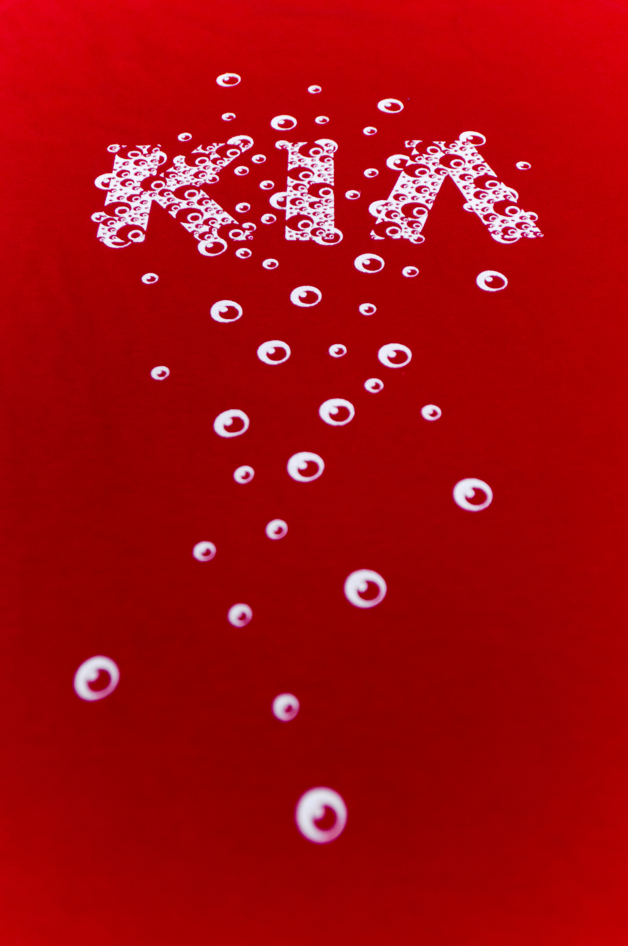 Travail d'image autour des fondamentaux de la marque Kia, lors de la soirée de lancement de la bouteille Moët & Chandon "Ice Imperial"