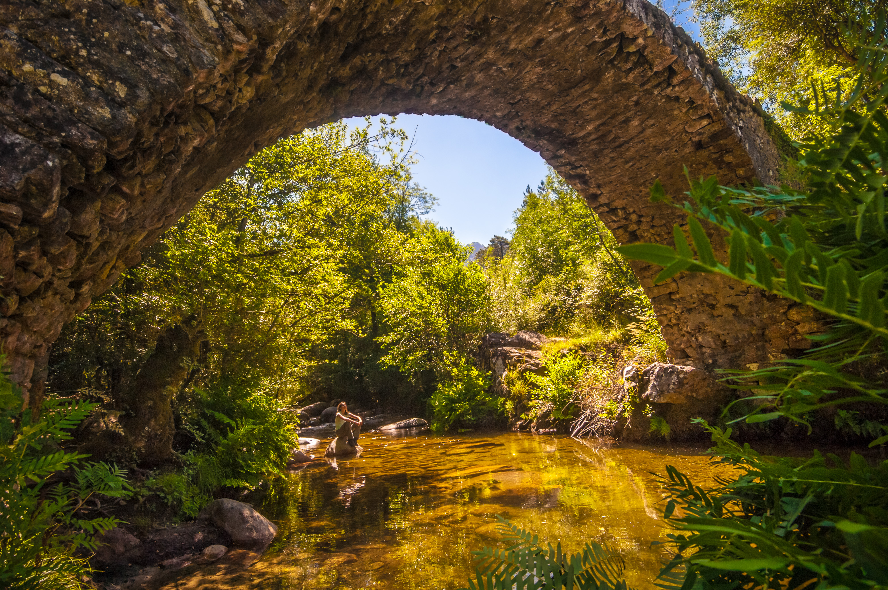 France, Corse-du-Sud (2A), Bastelica, Classé monument historique, le pont génois de Zipitoli est un ouvrage d’art datant du XVe siècle, son arche unique enjambe la rivière d’Ese au cœur de la forêt de Pineta // France, Corse-du-Sud (2A), Bastelica, listed as a historical monument, the Genoese bridge of Zipitoli is a work of art dating back to the 15th century, its unique arch spans the river Ese in the heart of the forest of Pineta