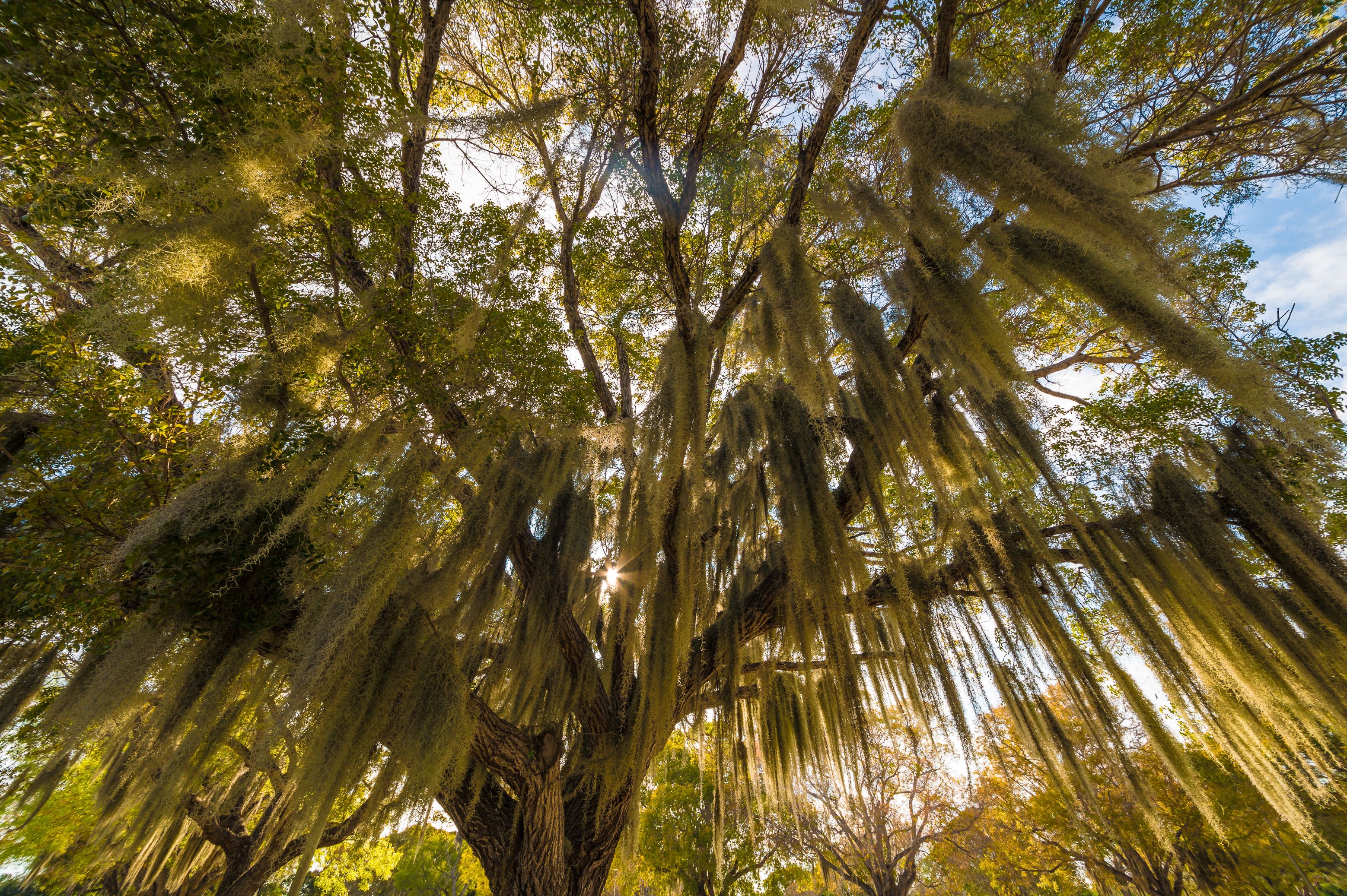 Sentir battre le coeur sauvage des Everglades / Photos : Aurélien BRUSINI