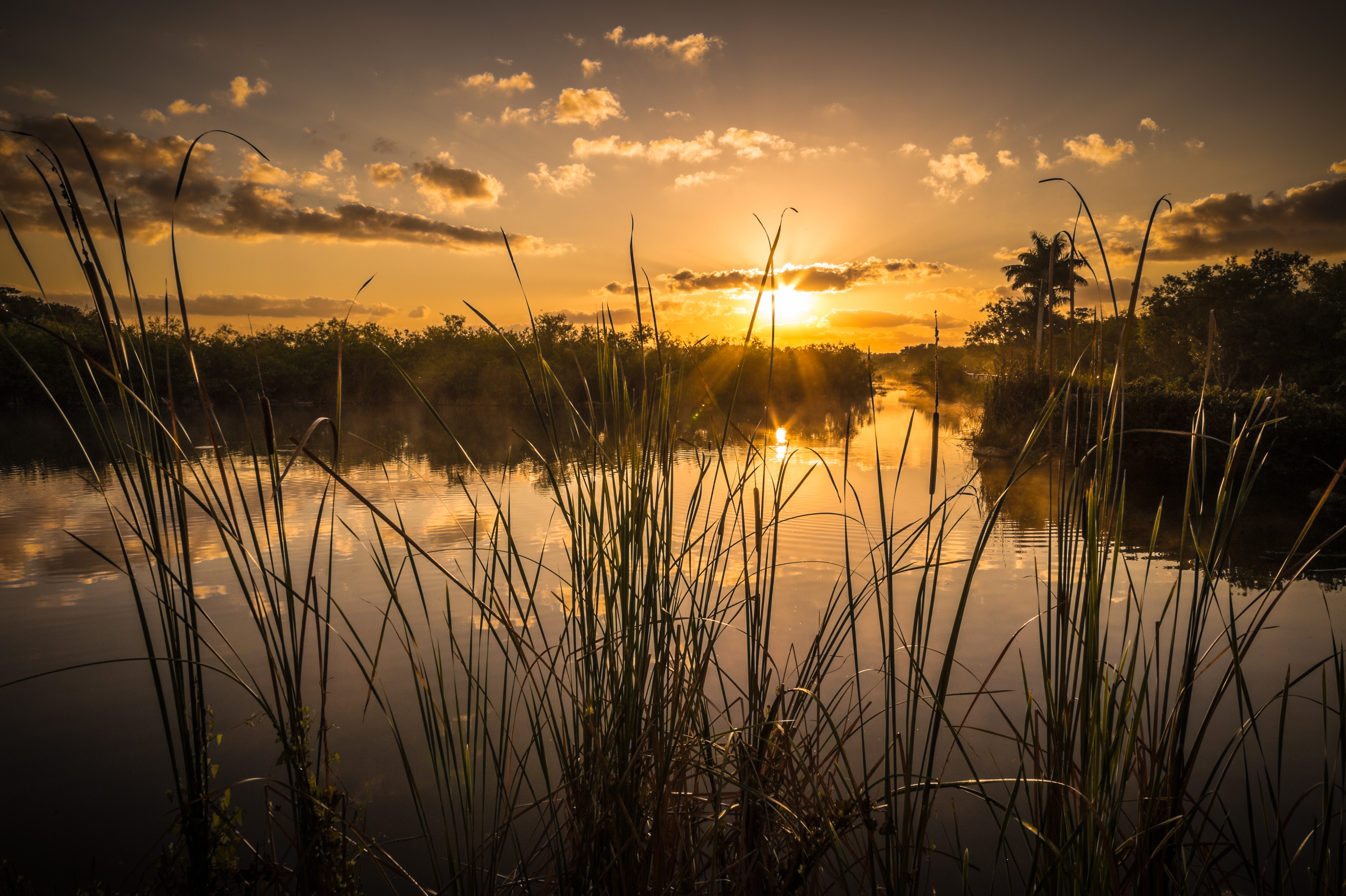 Sentir battre le coeur sauvage des Everglades / Photos : Aurélien BRUSINI