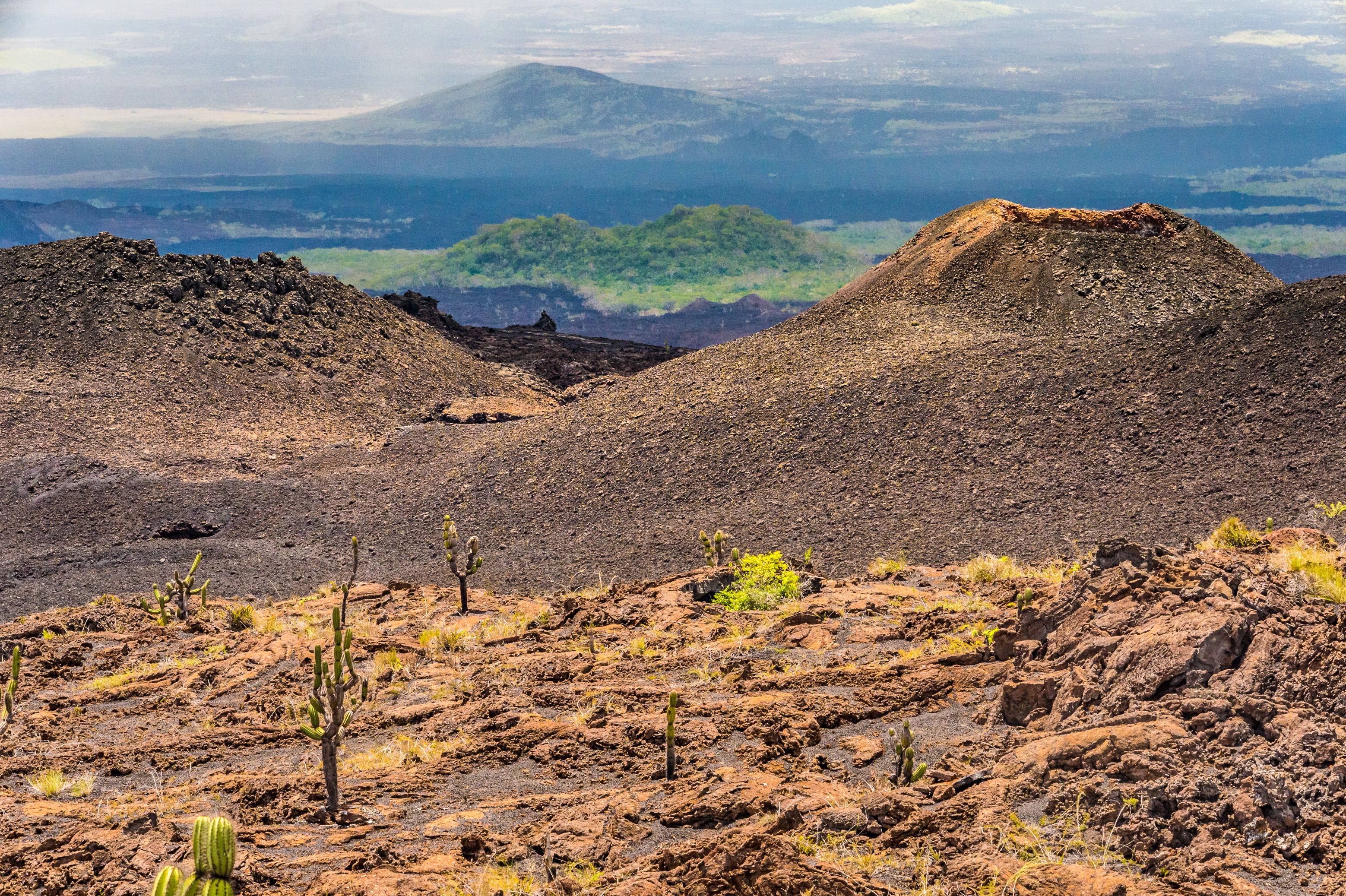 Equateur, archipel des Galápagos, classé Patrimoine Mondial de l'UNESCO, île d'Isabela (Albemarie), volcan Chico // Ecuador, Galapagos Archipelago, World Heritage Site by UNESCO, Isabela Island (Albemarie), Chico volcano