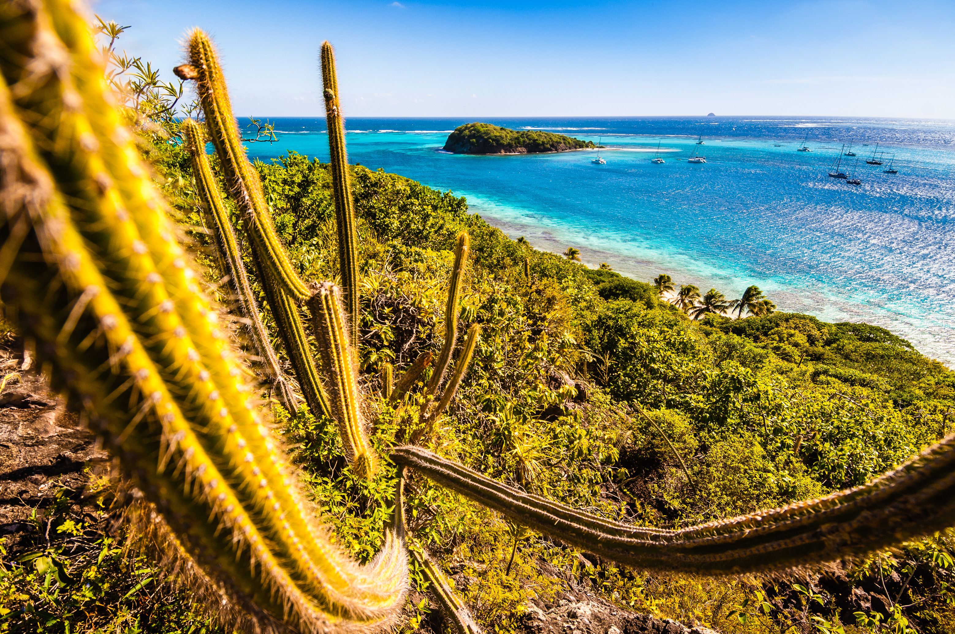 Saint-Vincent-et-les-Grenadines / Photos : Aurélien BRUSINI