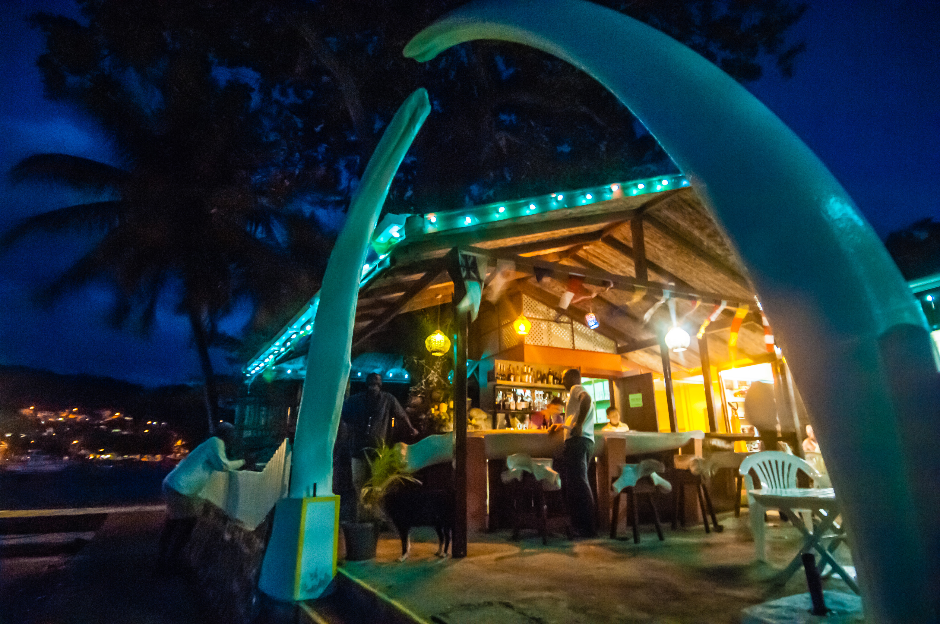 Caraïbes, Petites Antilles, Saint-Vincent-et-les Grenadines, île de Bequia connue pour perpétuer une chasse à la baleine traditionnelle, à Port Elisabeth le Whaleboner Bar s'illustre par l'utilisation d'une mâchoire de cétacé en guise de porche et de sièges en vertèbres de cétacé pour ses tabourets de bar // Caribbean, Lesser Antilles, St. Vincent and the Grenadines, Bequia Island known for perpetuating a traditional whaling, in Port Elizabeth the Whaleboner Bar is illustrated by the use of a cetacean jaw as a porch and seats in cetacean vertebrae for his bar stools