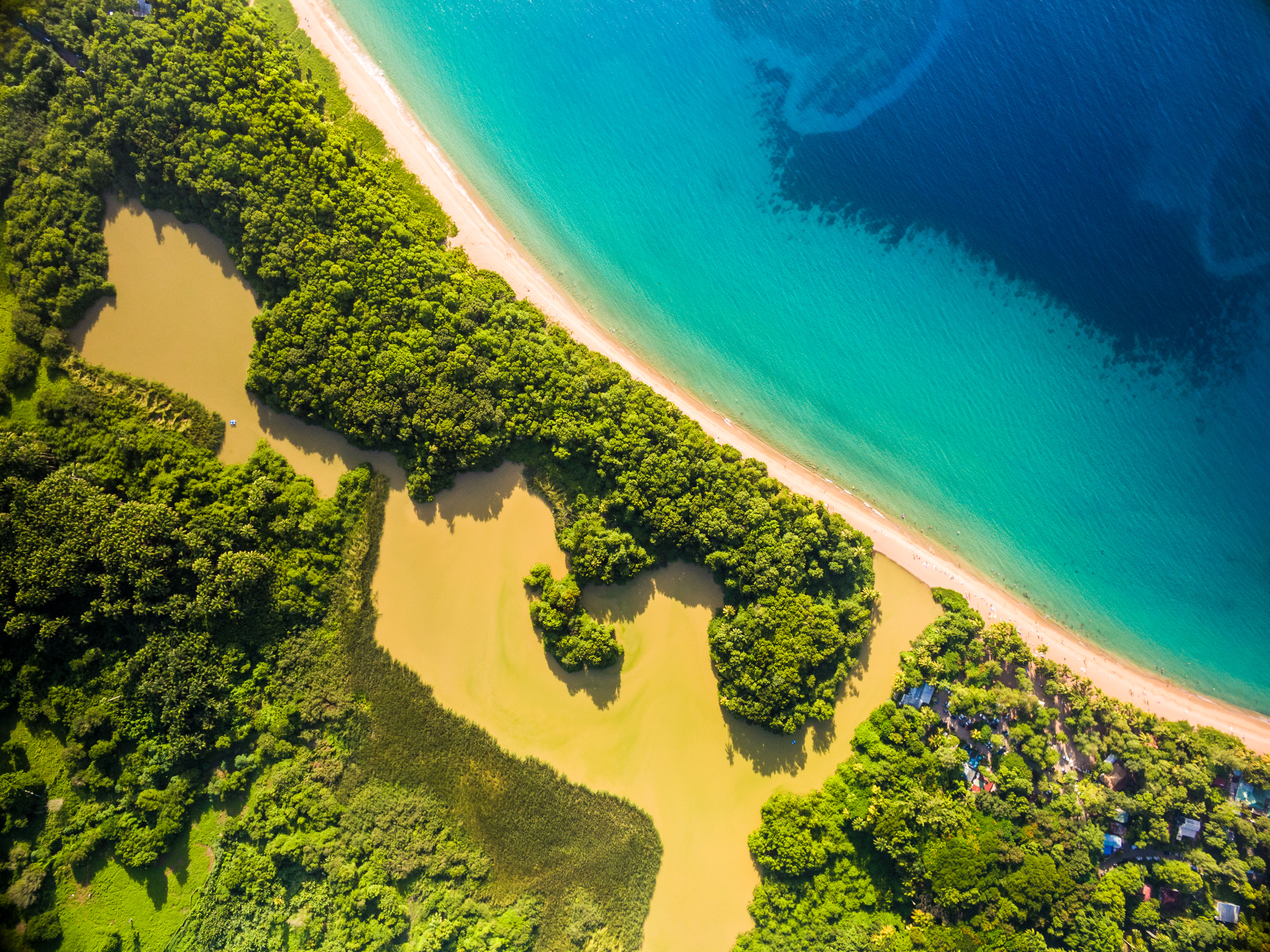 France, Caraïbes, Petites Antilles, Guadeloupe, Basse-Terre, Deshaies, vue aérienne sur la plage de Grande Anse et sa mangrove // France, Caribbean, Lesser Antilles, Guadeloupe, Basse-Terre, Deshaies, aerial view on the beach of Grande Anse and its mangrove