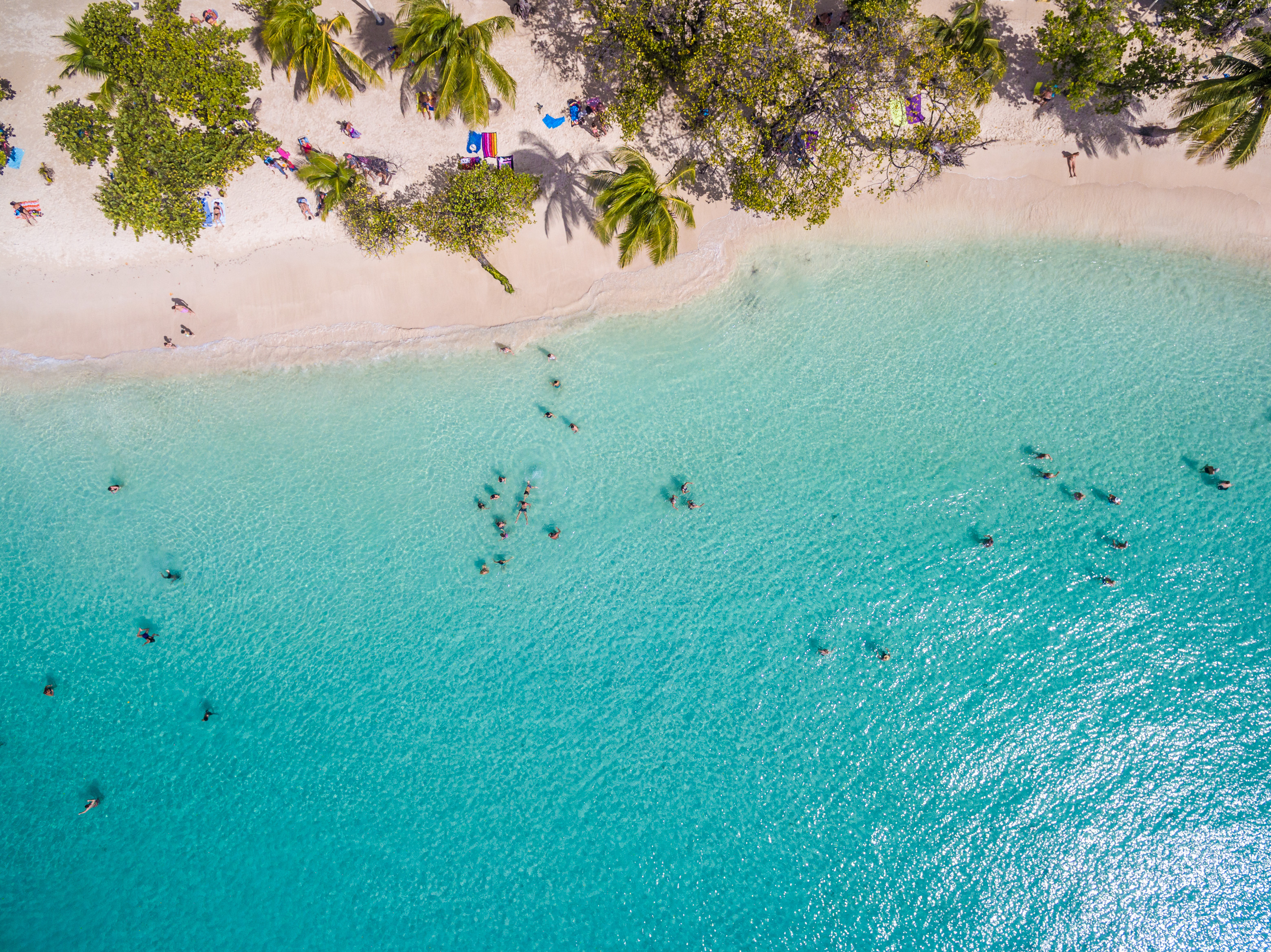 France, Caraïbes, Petites Antilles, Guadeloupe, Grande-Terre, Sainte Anne, vue aérienne sur la plage municipale et son lagon // France, Caribbean, Lesser Antilles, Guadeloupe, Grande-Terre, Sainte Anne, aerial view of the municipal beach and its lagoon