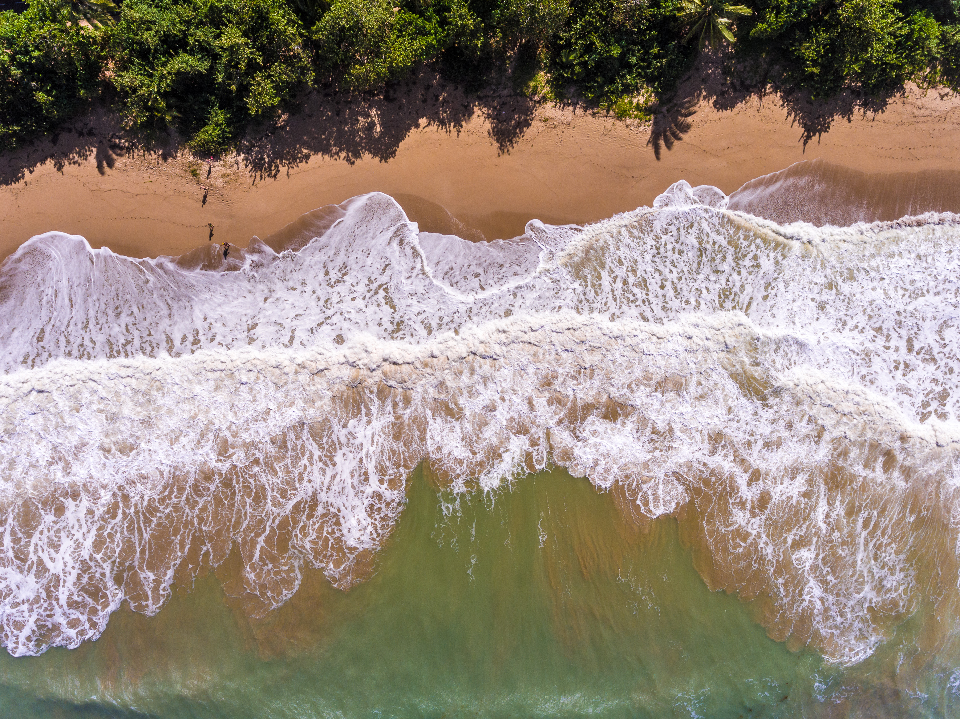France, Caraïbes, Petites Antilles, Guadeloupe, Basse-Terre, Sainte-Rose, vue aérienne sur la plage de Cluny // France, Caribbean, Lesser Antilles, Guadeloupe, Basse-Terre, Sainte-Rose, aerial view on Cluny beach