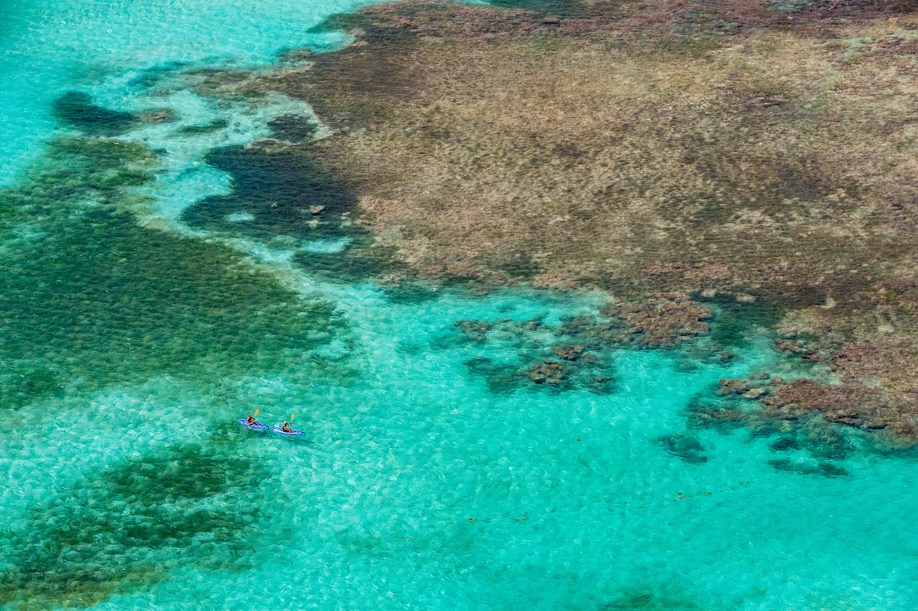 France, Caraïbes, Petites Antilles, Guadeloupe, Grande-Terre, Saint-François, vue aérienne sur un couple en kayak gonflable pagayant dans le lagon // France, Caribbean, Lesser Antilles, Guadeloupe, Grande-Terre, Saint-François, aerial view of a couple in inflatable kayak paddling in the lagoon
