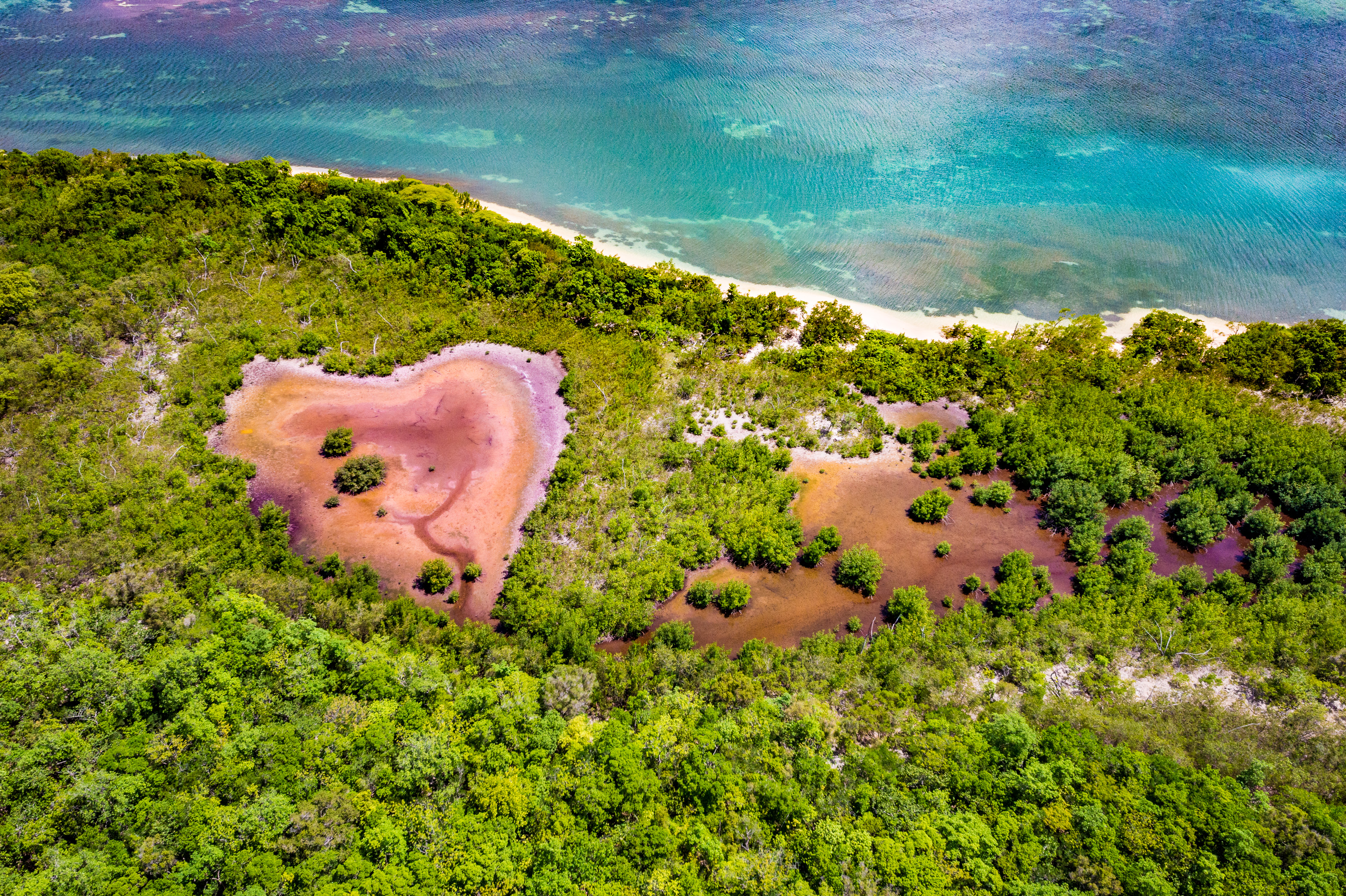 France, Caraïbes, Petites Antilles, Guadeloupe, Grand Cul-de-Sac marin, coeur du parc national de la Guadeloupe, vue aérienne de l'anse du Gris-Gris, son marais en forme de coeur dans la mangrove de la rivière Gaschet, la plage et le lagon // France, Caribbean, Lesser Antilles, Guadeloupe, Grand Cul-de-Sac Marin, heart of the Guadeloupe National Park, aerial view of the Gris-Gris Cove, its heart-shaped marsh in the mangrove of the Gaschet River, the beach and the lagoon