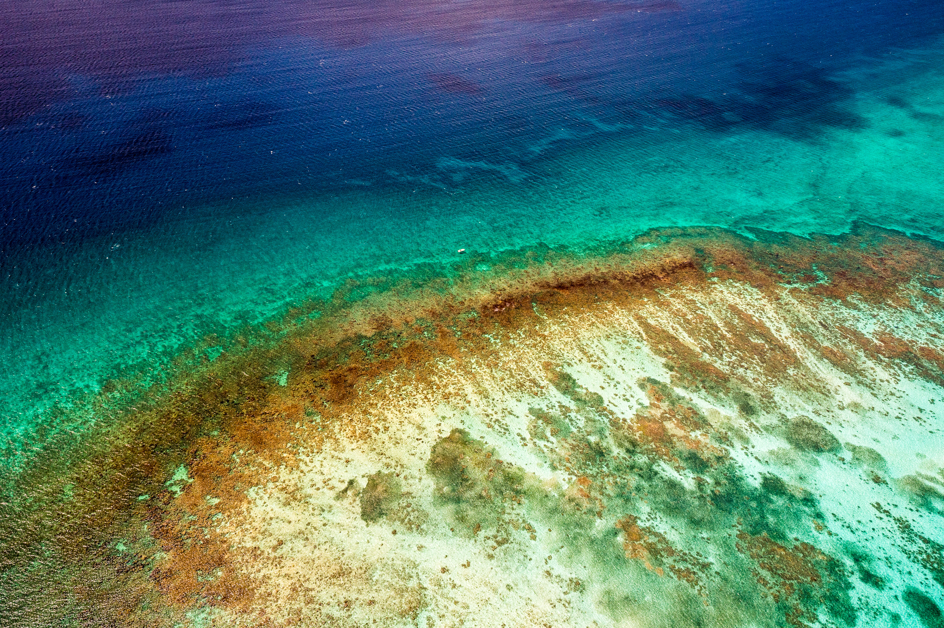 France, Caraïbes, Petites Antilles, Guadeloupe, Grand Cul-de-Sac marin, coeur du parc national de la Guadeloupe, Basse-Terre, vue aérienne sur la barrière de corail de l'îlet Fajou, plus long récif corallien (25 km) des Petites Antilles, Réserve de Biosphère de l'Archipel de la Guadeloupe // France, Caribbean, Lesser Antilles, Guadeloupe, Grand Cul-de-Sac Marin, heart of the Guadeloupe National Park, Basse-Terre, aerial view of the coral reef of the Fajou Islet, the longest coral reef (25 km) of the Lesser Antilles, Biosphere Reserve of the Archipelago of Guadeloupe