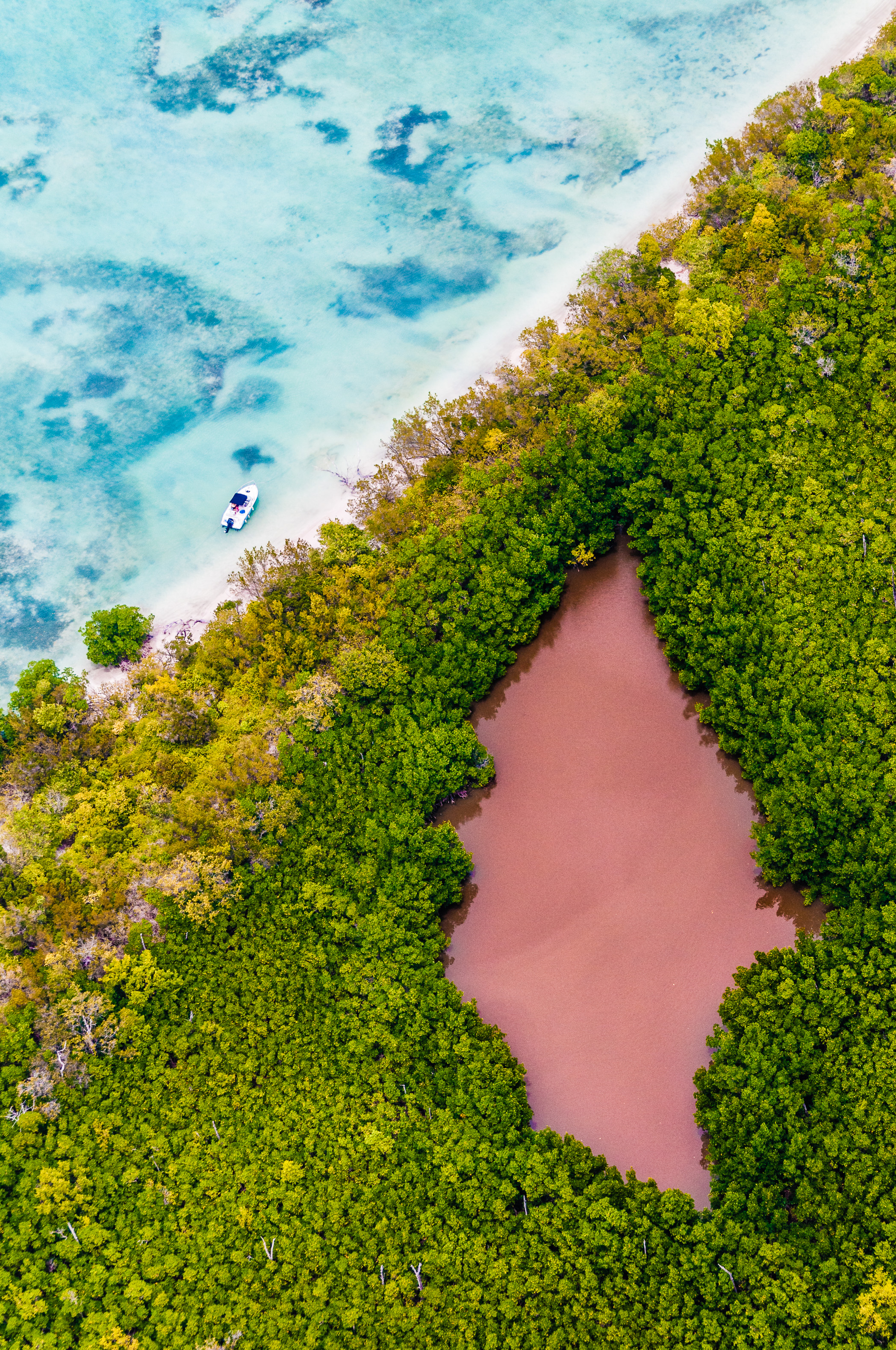 France, Caraïbes, Petites Antilles, Guadeloupe, Parc national de la Guadeloupe, zone de coeur maritime, vue aérienne du Grand Cul-de-Sac Marin (15000 ha), il est délimité dans sa partie marine par le plus long récif corallien (25 km) et dans sa partie terrestre par la plus large ceinture de mangrove des petites Antilles, ici la mangrove s'ouvre sur une étendue d'eau rappelant la silhouette d'une raie sur l'îlet Fajou // France, Caribbean, Lesser Antilles, Guadeloupe, Guadeloupe National Park, maritime heart area, aerial view of the Grand Cul-de-Sac Marin (15000 ha), it is delimited in its marine part by the longest coral reef km) and in its terrestrial part by the wider mangrove belt of the Lesser Antilles, here the mangrove opens on water recalling the silhouette of a ray on the island Fajou