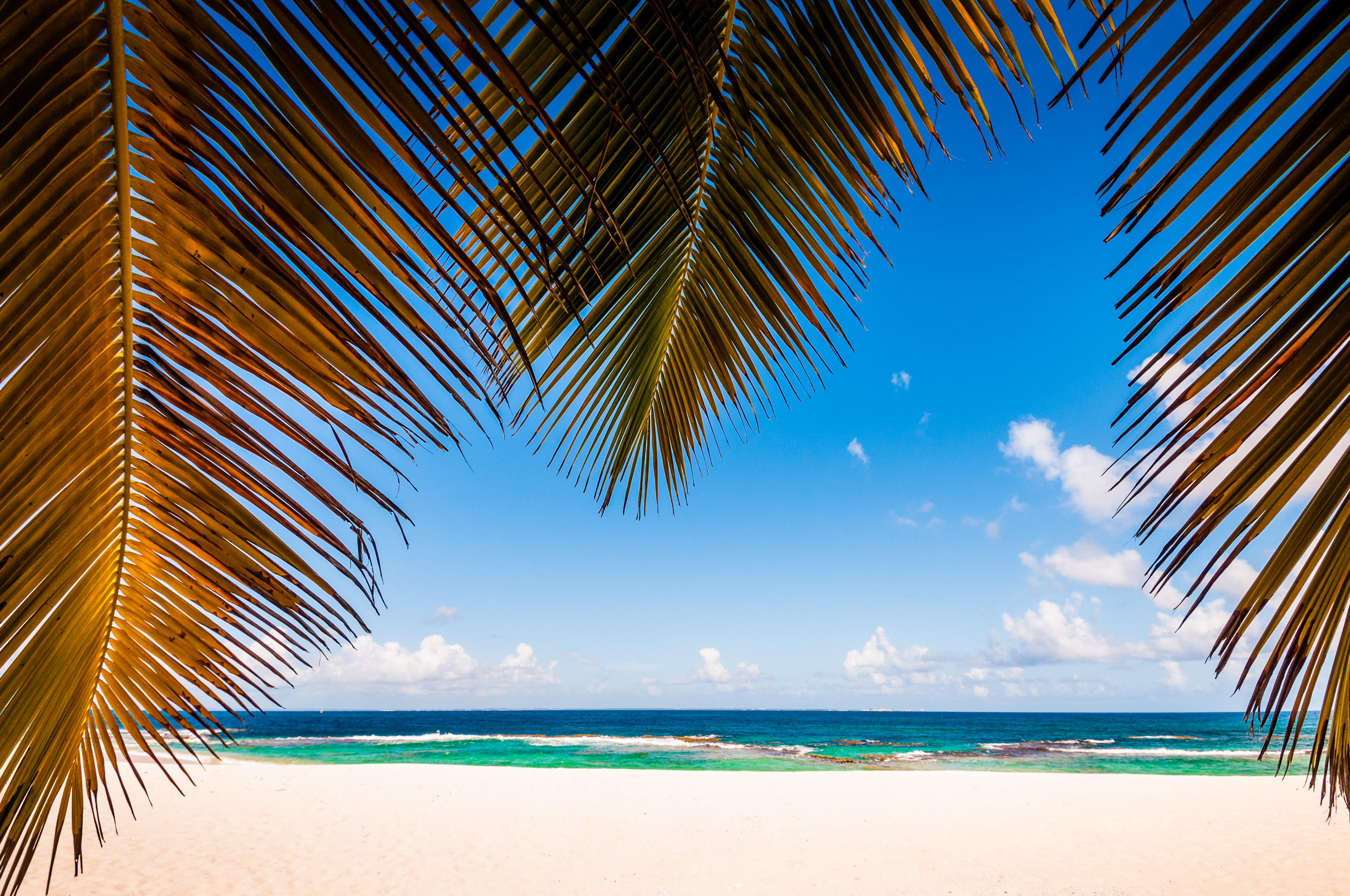 France, Caraïbes, Petites Antilles, Réserve naturelle nationale de Petite Terre, Terre-de-Bas, plage de sable blanc sur le littoral Sud-Ouest // France, Caribbean, Lesser Antilles, Petite Terre National Nature Reserve, Terre-de-Bas, white sand beach on the South-West coast