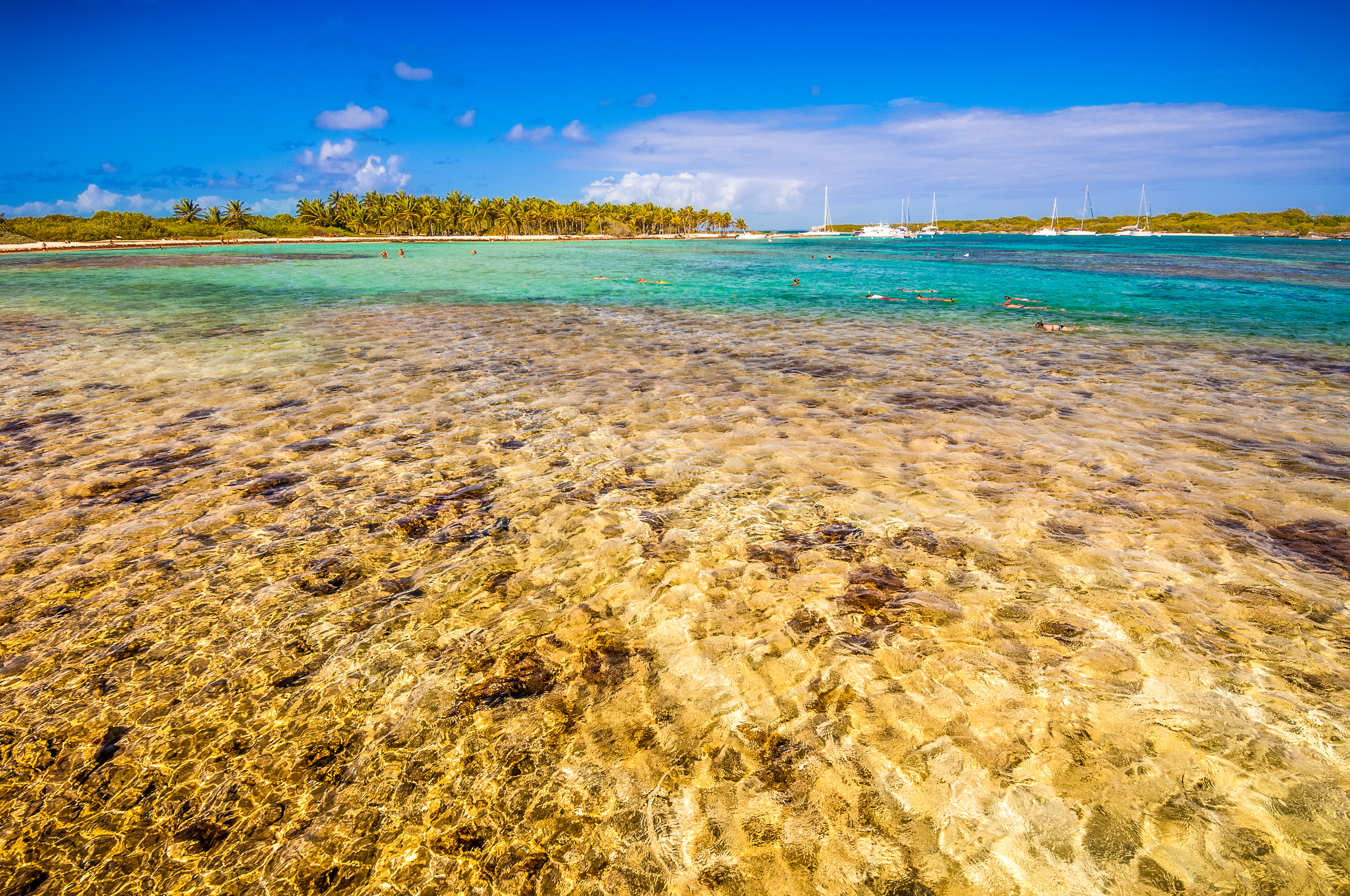 France, Caraïbes, Petites Antilles, Réserve naturelle nationale de Petite Terre, baignade en palmes masque tuba (PMT) dans le lagon entre Terre-de-Bas à gauche et Terre-de-Haut à droite // France, Caribbean, Lesser Antilles, Petite Terre National Nature Reserve, bathing with fins, tuba and mask in the lagoon between Terre-de-Bas on the left and Terre-de-Haut on the right