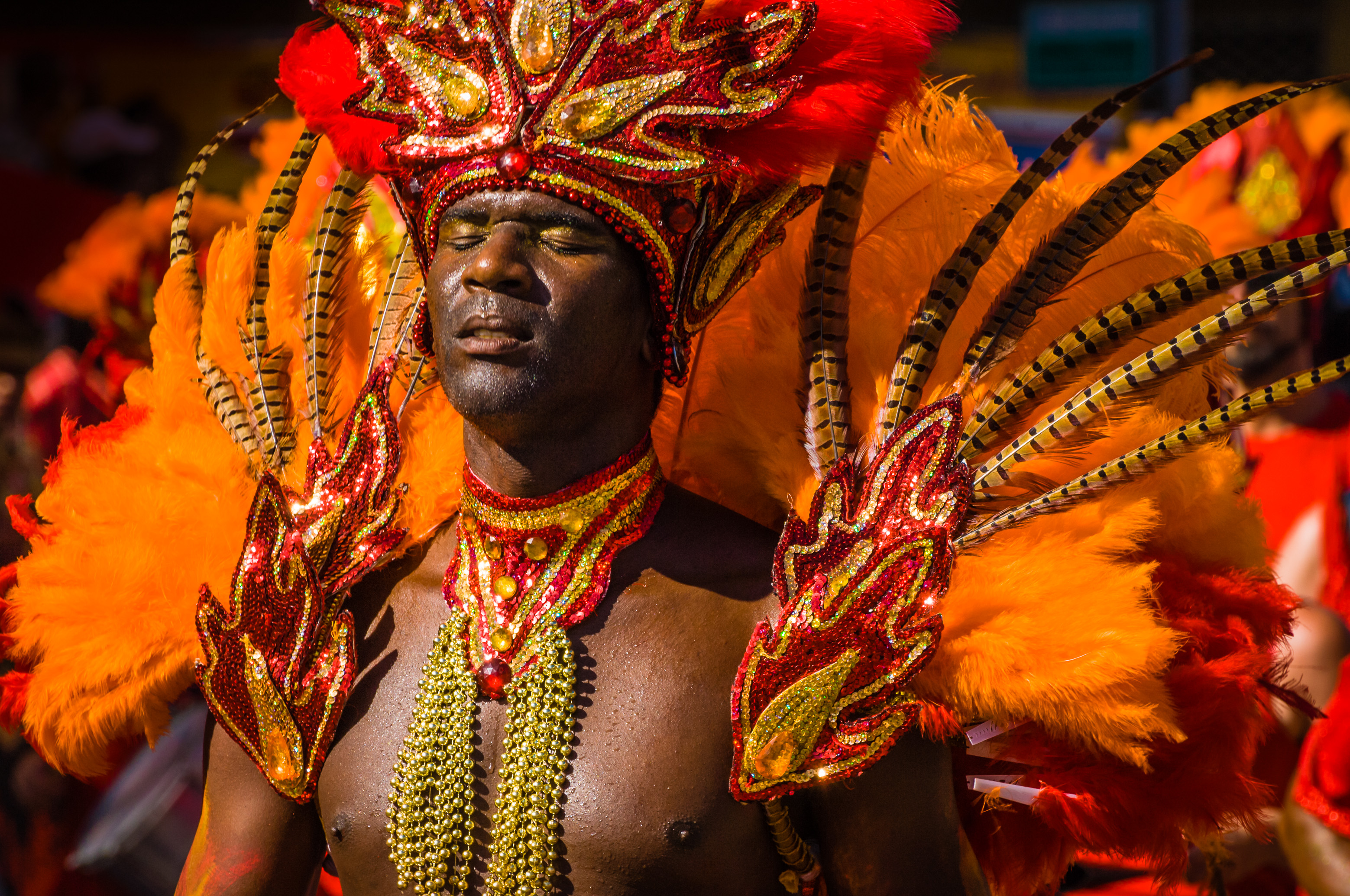 France, Guadeloupe, Grande Terre, Pointe-à-Pitre, portrait d'un homme carnavalier du groupe Transformation Pikanga, originaire de Baie-Mahault, lors du grand défilé de clôture des Jours Gras (USAGE PRESSE UNIQUEMENT) // France, Guadeloupe, Grande Terre, Pointe-à-Pitre, portrait of a man in the group Transformation Pikanga from Baie-Mahault, during the closing parade of Shrovetide (PRESS USE ONLY)