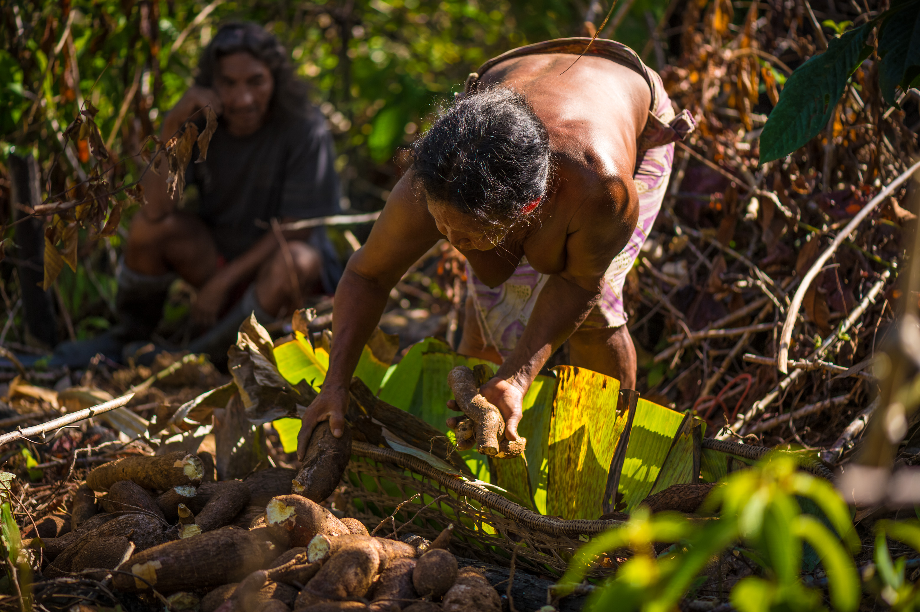 Camopi, amérindienne dans l'âme / Photos : Aurélien BRUSINI