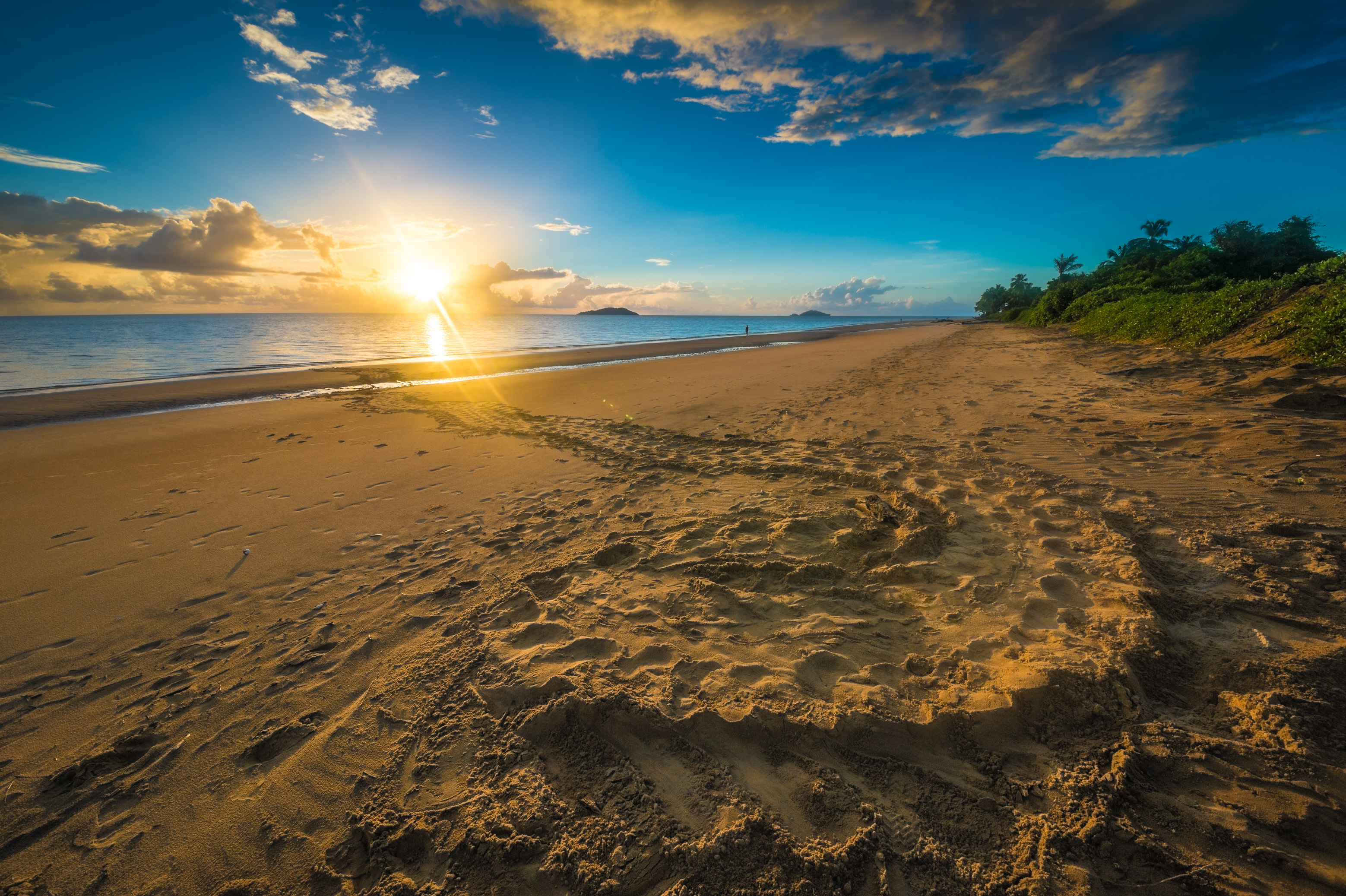 France, Amérique du Sud, Guyane, Cayenne, plage de Rémire-Montjoly, trace ou rail du retour à l'océan Atlantique d'une tortue luth femelle (Dermochelys coriacea) après la ponte au petit matin // France, South America, Guiana, Cayenne, Rémire-Montjoly beach, return track to the Atlantic Ocean of a female leatherback turtle (Dermochelys coriacea) after nesting in the early morning