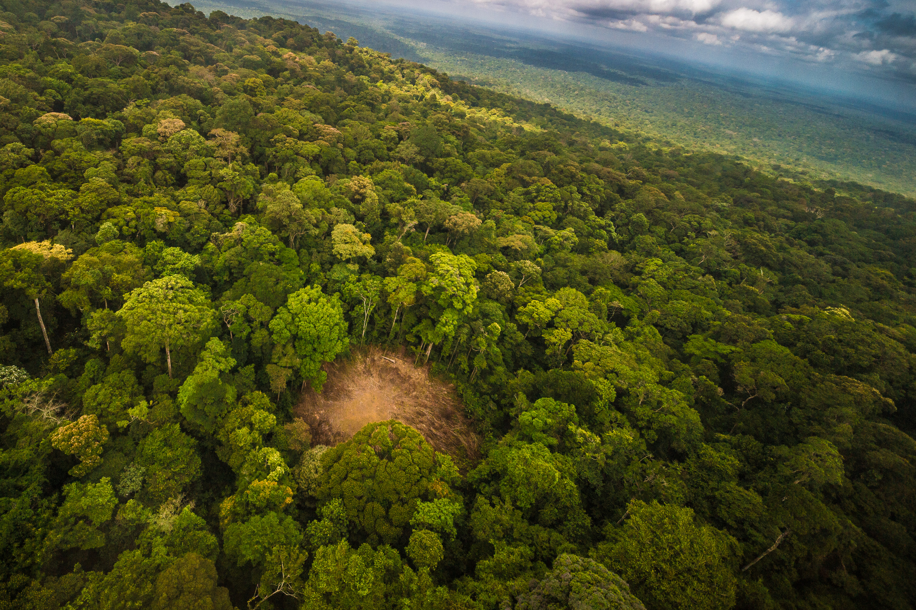 "Chercheurs dans la brume", mission scientifique d'inventaire pluridisciplinaire Itoupé II, au coeur du Parc amazonien de Guyane. Découvrez les reportages parus dans la presse magazine / Photos : Aurélien BRUSINI