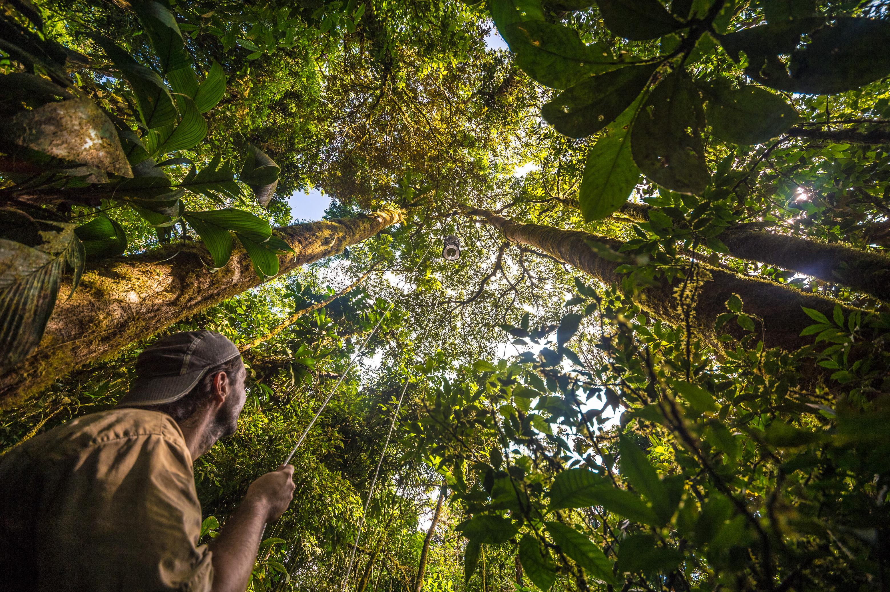 "Chercheurs dans la brume", mission scientifique d'inventaire pluridisciplinaire Itoupé II, au coeur du Parc amazonien de Guyane. Découvrez les reportages parus dans la presse magazine / Photos : Aurélien BRUSINI