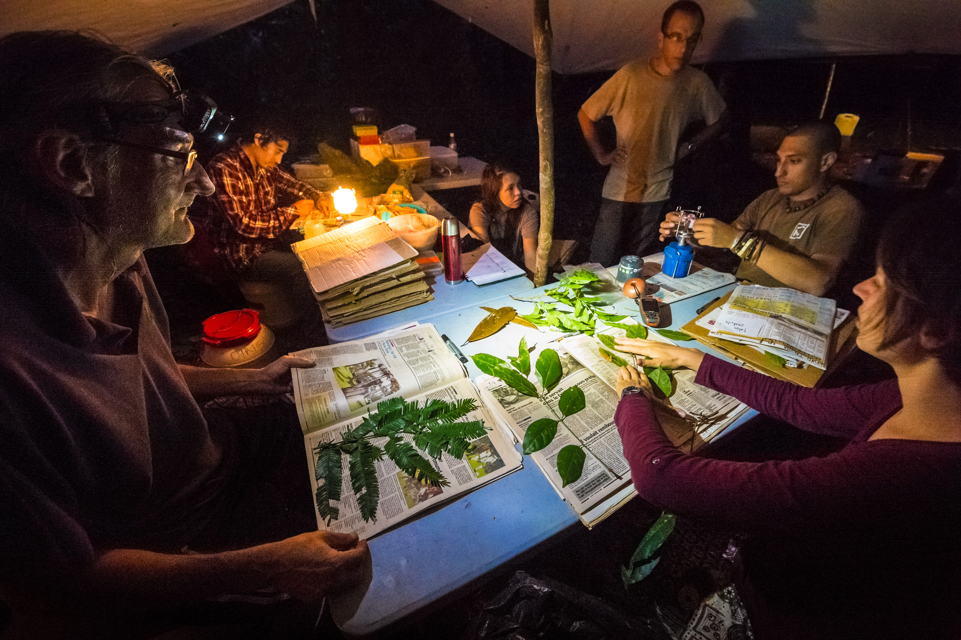 "Chercheurs dans la brume", mission scientifique d'inventaire pluridisciplinaire Itoupé II, au coeur du Parc amazonien de Guyane. Découvrez les reportages parus dans la presse magazine / Photos : Aurélien BRUSINI