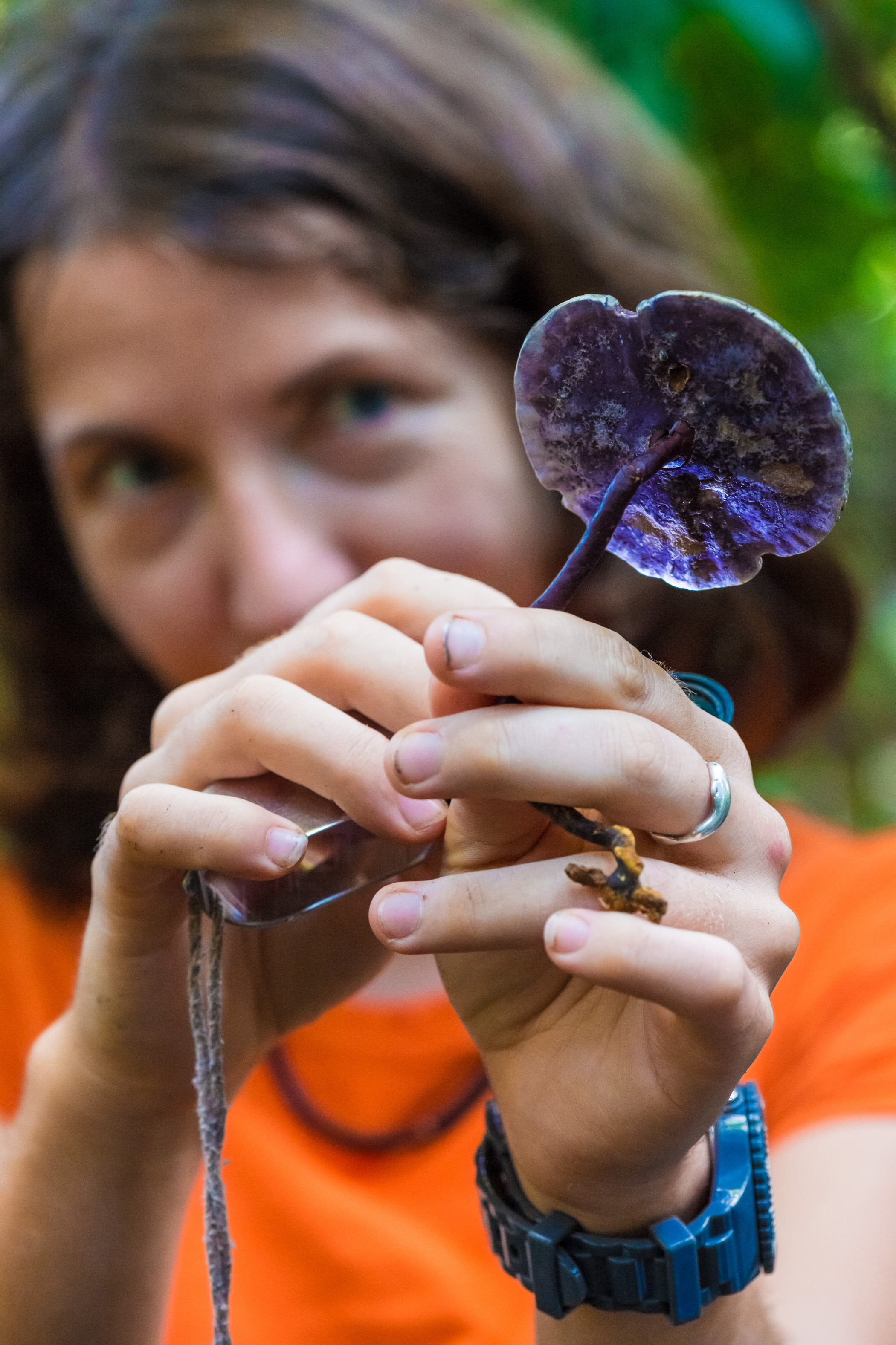 "Chercheurs dans la brume", mission scientifique d'inventaire pluridisciplinaire Itoupé II, au coeur du Parc amazonien de Guyane. Découvrez les reportages parus dans la presse magazine / Photos : Aurélien BRUSINI