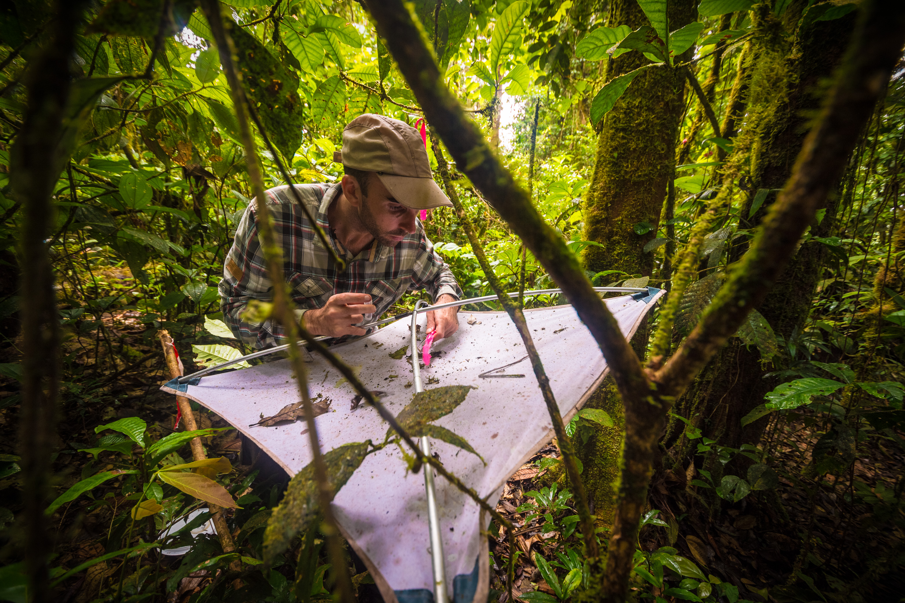 "Chercheurs dans la brume", mission scientifique d'inventaire pluridisciplinaire Itoupé II, au coeur du Parc amazonien de Guyane. Découvrez les reportages parus dans la presse magazine / Photos : Aurélien BRUSINI