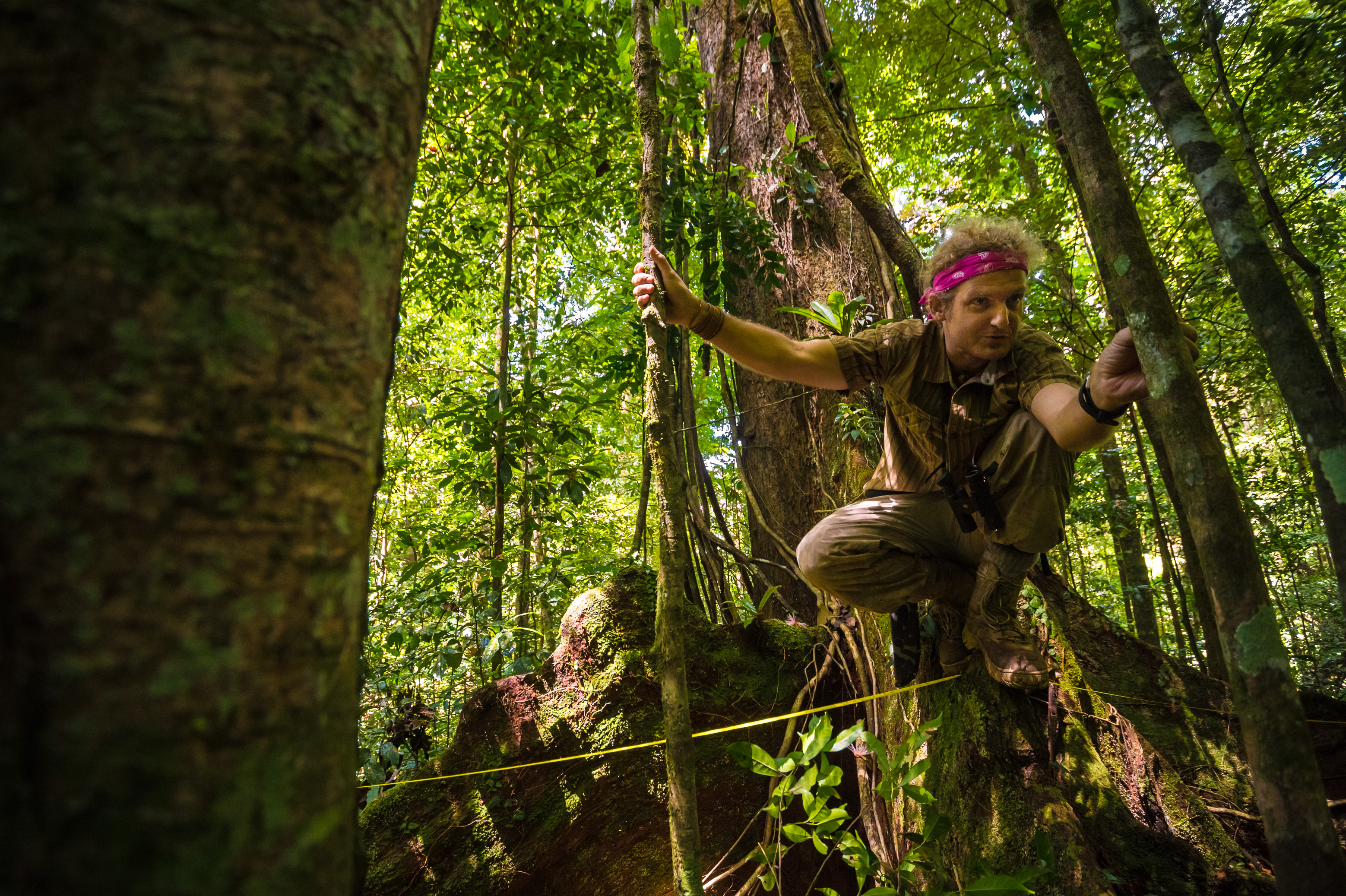 "Chercheurs dans la brume", mission scientifique d'inventaire pluridisciplinaire Itoupé II, au coeur du Parc amazonien de Guyane. Découvrez les reportages parus dans la presse magazine / Photos : Aurélien BRUSINI