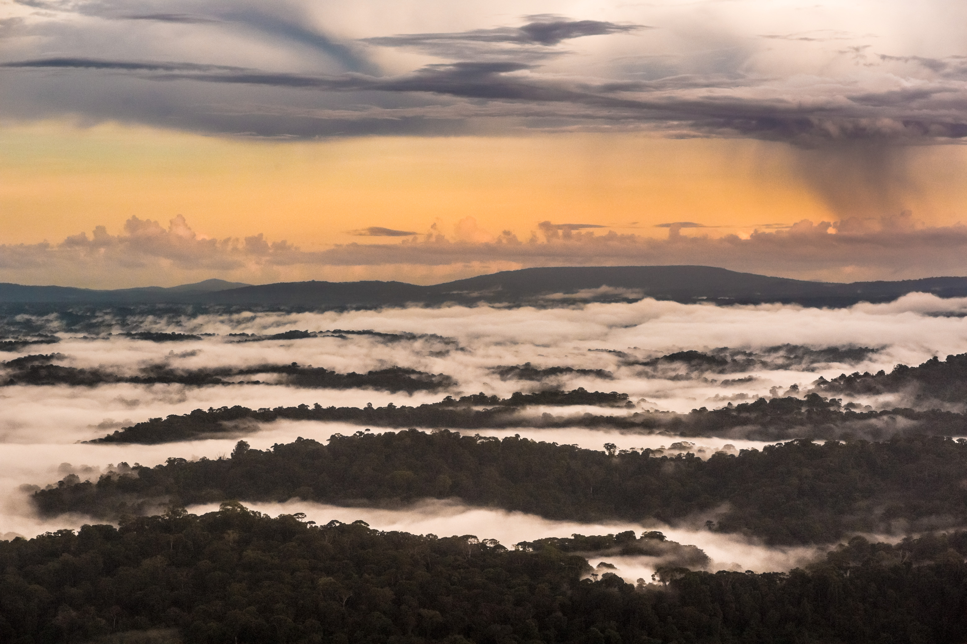 "Chercheurs dans la brume", mission scientifique d'inventaire pluridisciplinaire Itoupé II, au coeur du Parc amazonien de Guyane. Découvrez les reportages parus dans la presse magazine / Photos : Aurélien BRUSINI