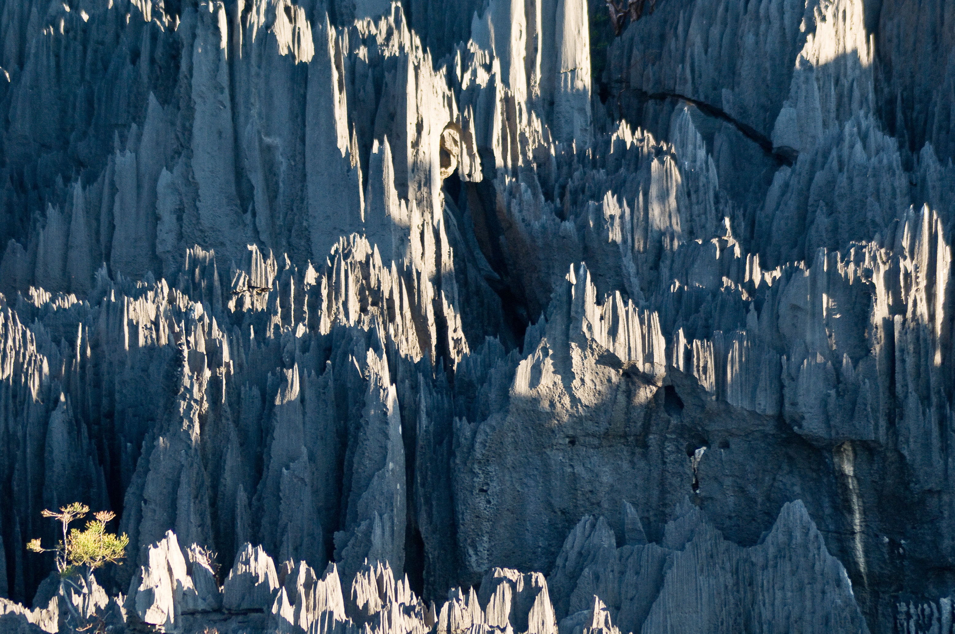 Grand écart entre les Tsingy de Bemaraha et la côte Est, lors du passage des baleines à bosse / Photos : Aurélien BRUSINI