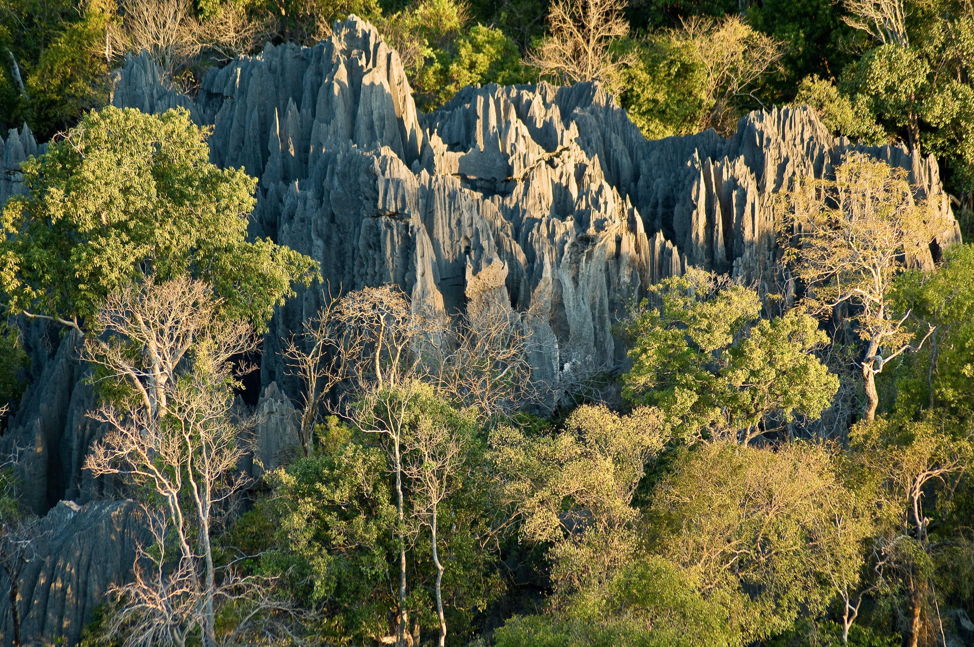 Grand écart entre les Tsingy de Bemaraha et la côte Est, lors du passage des baleines à bosse / Photos : Aurélien BRUSINI
