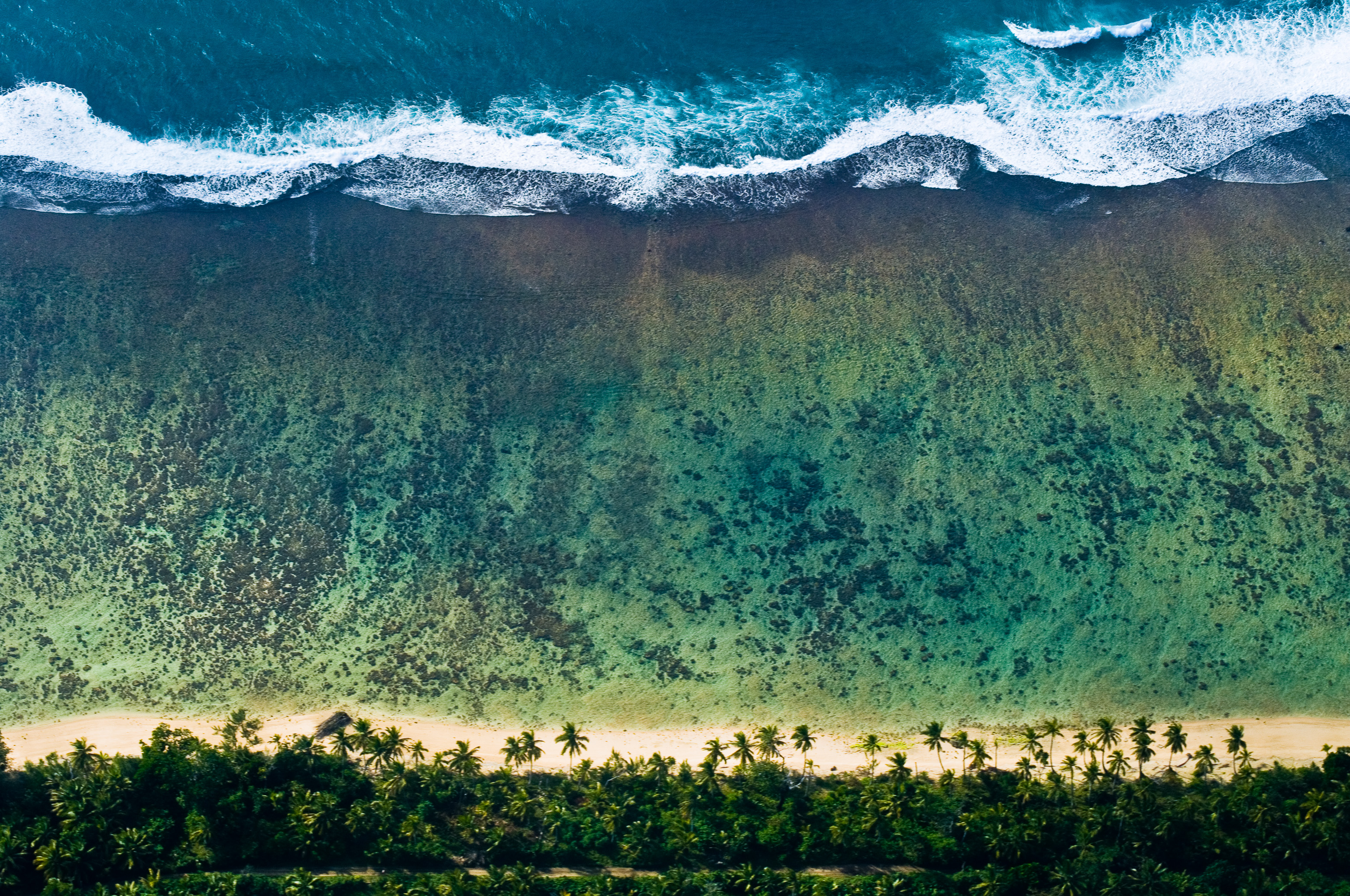 Grand écart entre les Tsingy de Bemaraha et la côte Est, lors du passage des baleines à bosse / Photos : Aurélien BRUSINI