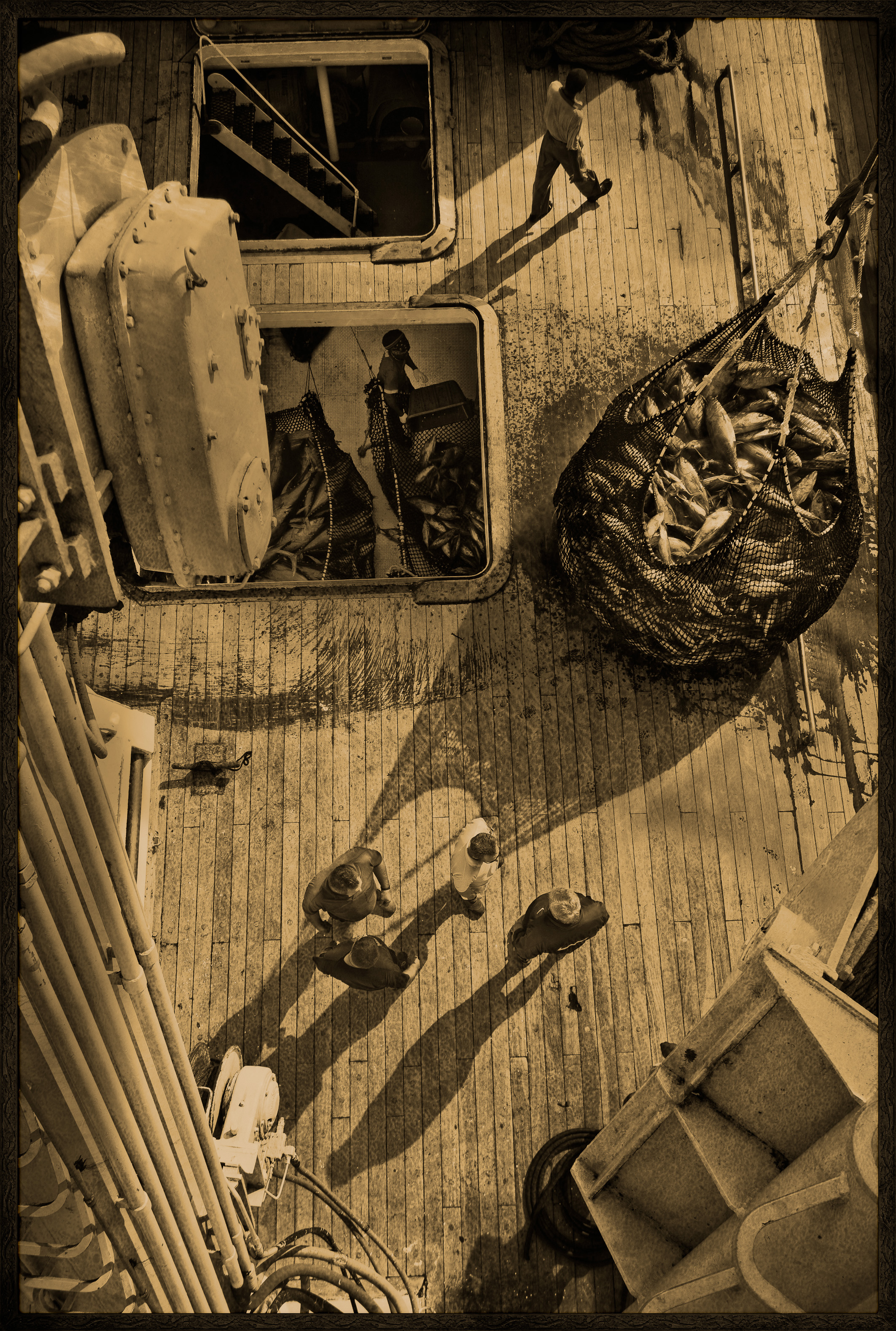 Seychelles, océan Indien, île de Mahé, Victoria, nasse pleine de thons lors du chargement de la cargaison de thon à bord d'un cargo de fret sur le port de Victoria, premier port de transbordement de thon de l'océan Indien, vue créative, vue de dessus, MR-PR non // Seychelles, Indian Ocean, Mahe Island, Victoria, trap full of tuna loading cargo aboard a cargo freighter in the port of Victoria, the first tuna transhipment port in the Indian Ocean, creative view, top view, MR-PR no