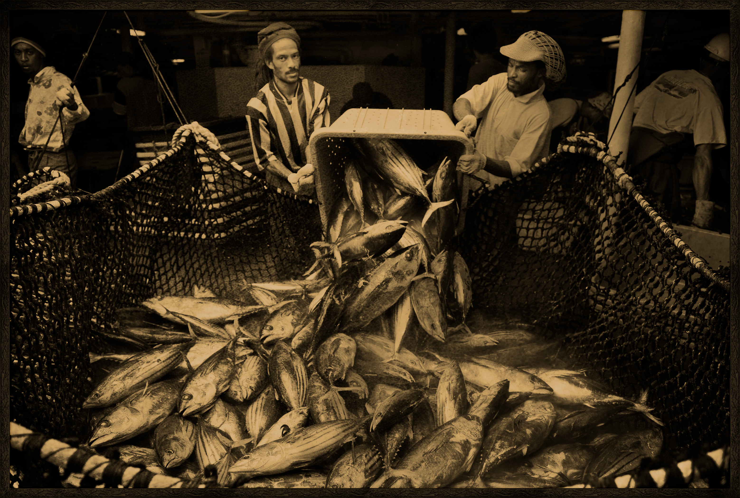 Seychelles, océan Indien, île de Mahé, Victoria, nasse pleine de thons lors du chargement de la cargaison de thon à bord d'un cargo de fret sur le port de Victoria, premier port de transbordement de thon de l'océan Indien, vue créative, MR-PR non // Seychelles, Indian Ocean, Mahe Island, Victoria, trap full of tuna loading cargo aboard a cargo freighter in the port of Victoria, the first tuna transhipment port in the Indian Ocean, creative view, MR-PR no