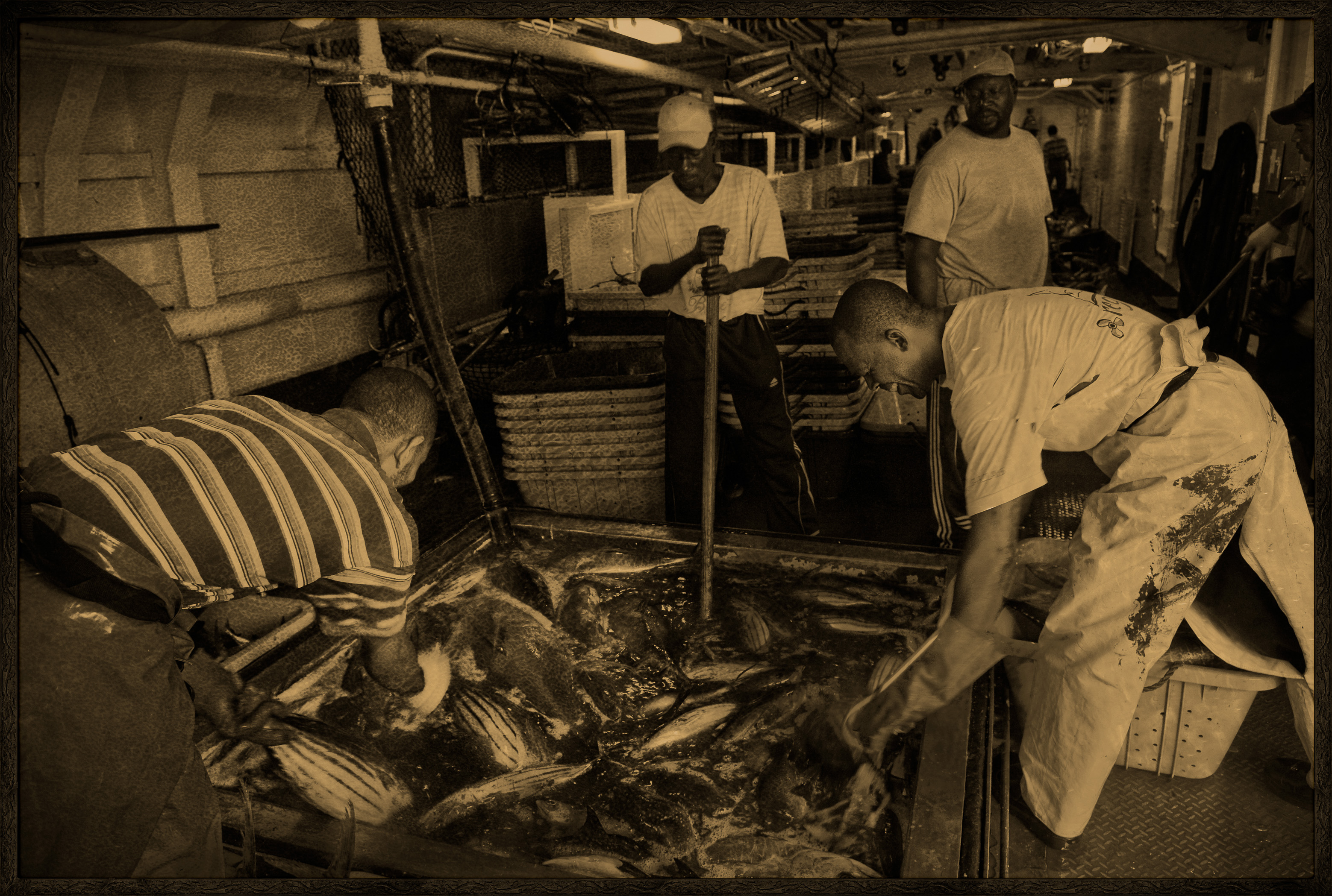 Seychelles, océan Indien, île de Mahé, Victoria, thons conservés dans la saumure lors du chargement de la cargaison de thon à bord d'un cargo de fret sur le port de Victoria, premier port de transbordement de thon de l'océan Indien, vue créative, MR-PR non // Seychelles, Indian Ocean, Mahe Island, Victoria, tuna in brine loading cargo of tuna aboard a cargo freighter in the port of Victoria, the first Indian Ocean tuna transhipment port, creative view, MR-PR no