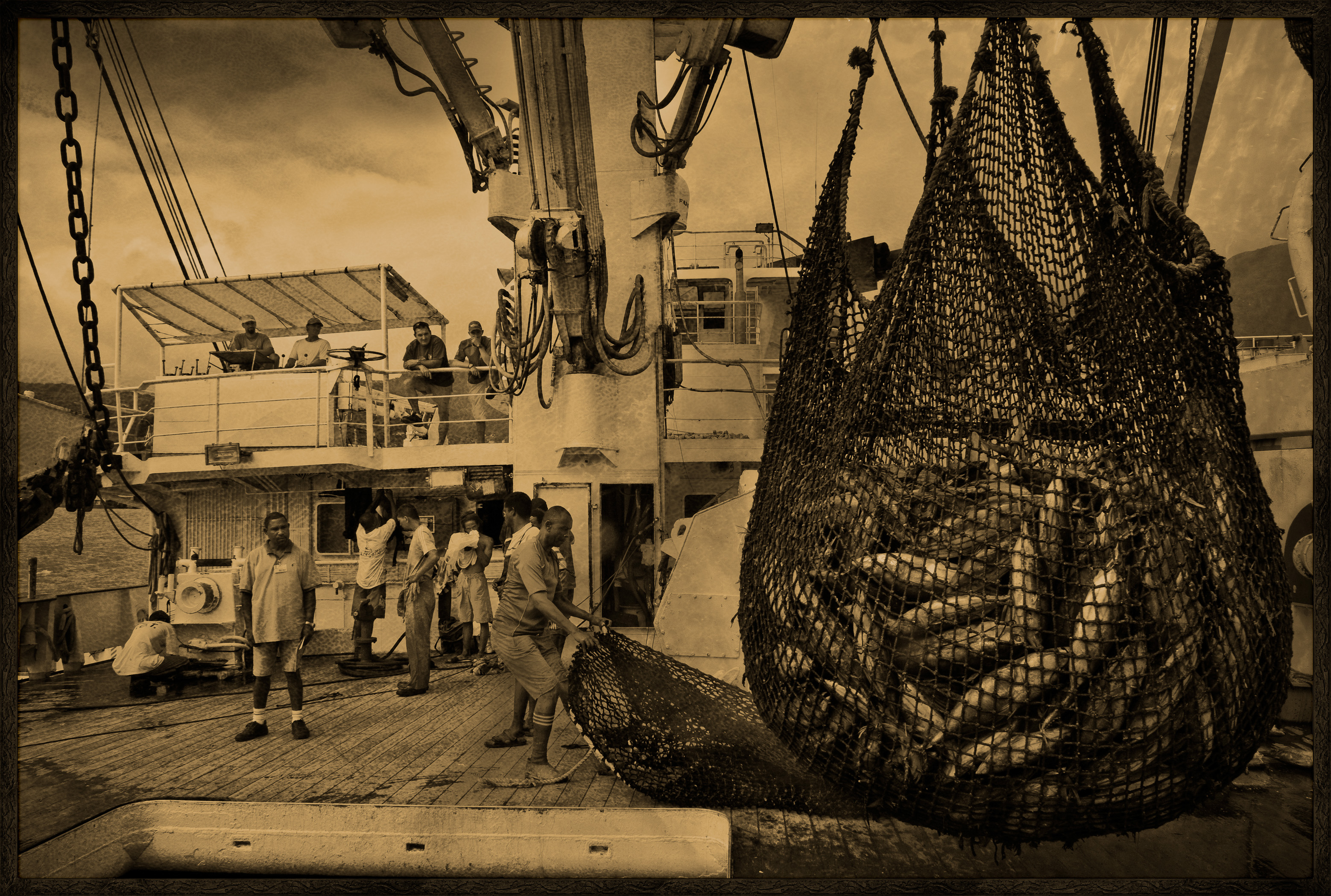 Seychelles, océan Indien, île de Mahé, Victoria, nasse pleine de thons lors du chargement de la cargaison de thon à bord d'un cargo de fret sur le port de Victoria, premier port de transbordement de thon de l'océan Indien, vue créative, MR-PR non // Seychelles, Indian Ocean, Mahe Island, Victoria, trap full of tuna loading cargo aboard a cargo freighter in the port of Victoria, the first tuna transhipment port in the Indian Ocean, creative view, MR-PR no