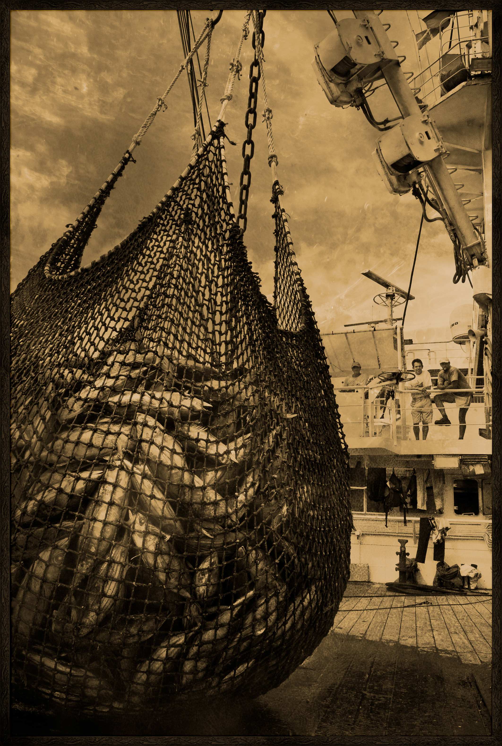 Seychelles, océan Indien, île de Mahé, Victoria, nasse pleine de thons lors du chargement de la cargaison de thon à bord d'un cargo de fret sur le port de Victoria, premier port de transbordement de thon de l'océan Indien, vue créative, MR-PR non // Seychelles, Indian Ocean, Mahe Island, Victoria, trap full of tuna loading cargo aboard a cargo freighter in the port of Victoria, the first tuna transhipment port in the Indian Ocean, creative view, MR-PR no