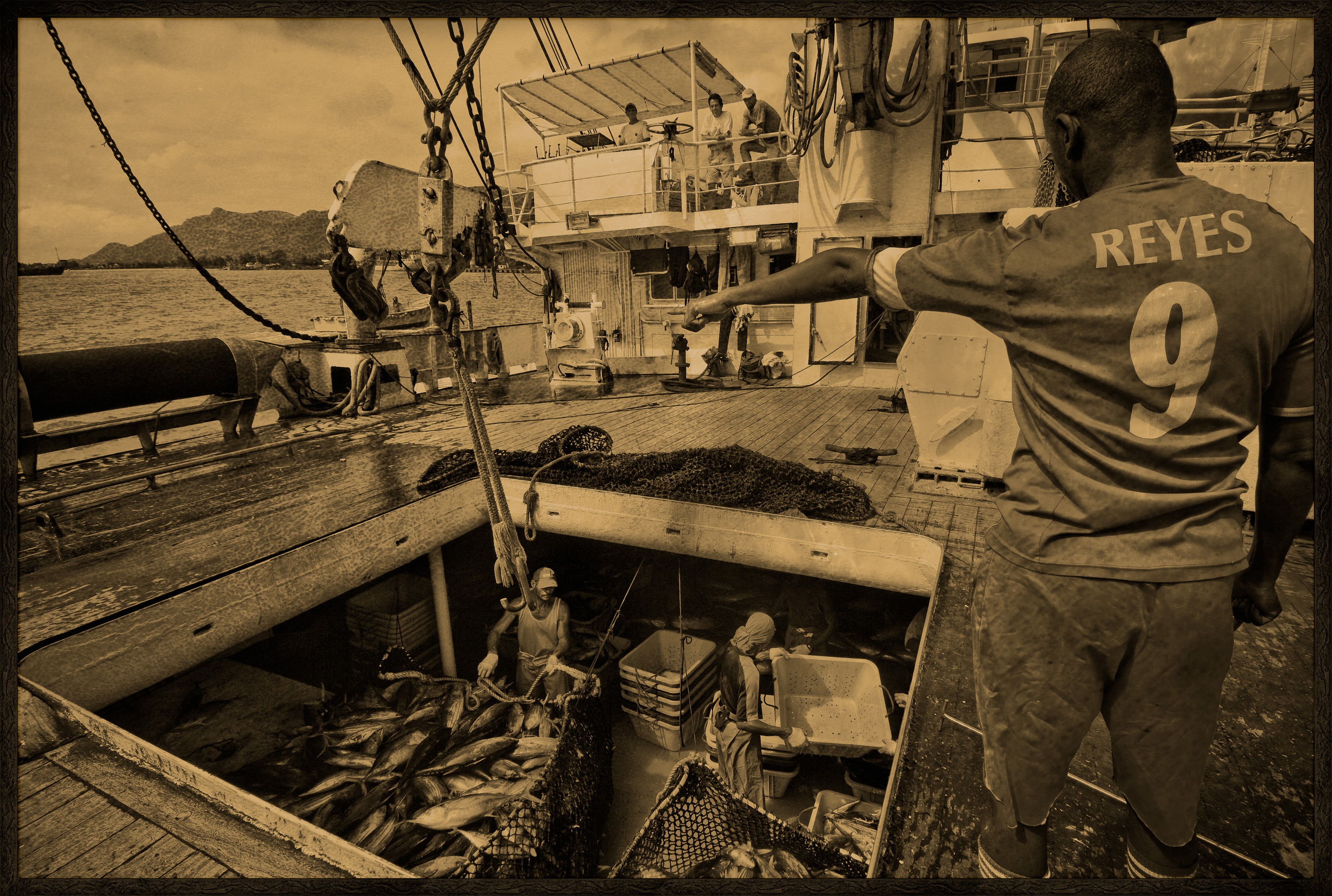 Seychelles, océan Indien, île de Mahé, Victoria, chargement de cargaison de thon à bord d'un cargo de fret sur le port de Victoria, premier port de transbordement de thon de l'océan Indien, vue créative, MR-PR non // Seychelles, Indian Ocean, Mahe Island, Victoria, cargo loading on board a tuna freight cargo in the port of Victoria, the first Indian Ocean tuna transhipment port, creative view, MR-PR no