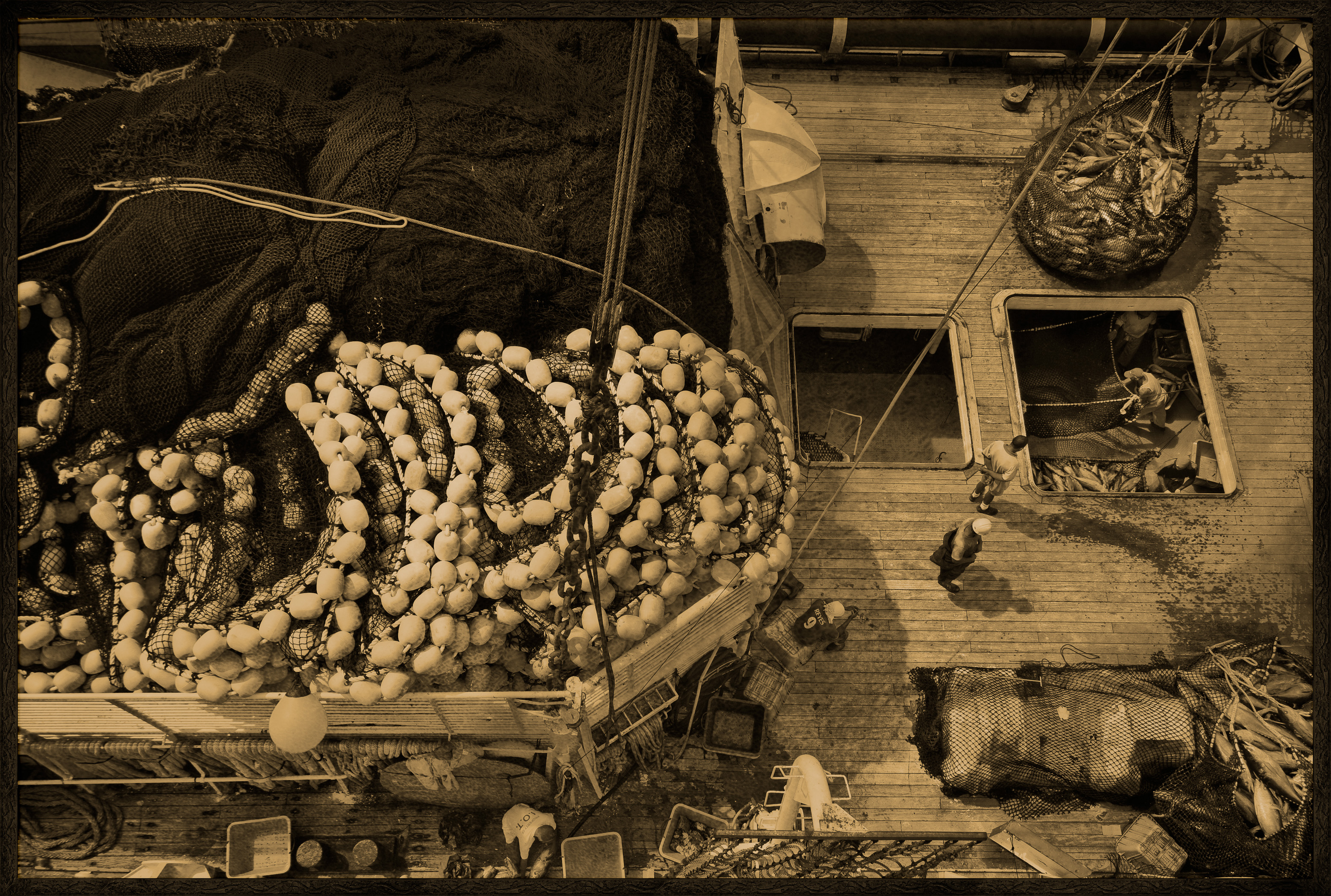 Seychelles, océan Indien, île de Mahé, Victoria, nasse pleine de thons lors du chargement de la cargaison de thon à bord d'un cargo de fret sur le port de Victoria, premier port de transbordement de thon de l'océan Indien, vue créative, vue de dessus, MR-PR non // Seychelles, Indian Ocean, Mahe Island, Victoria, trap full of tuna loading cargo aboard a cargo freighter in the port of Victoria, the first tuna transhipment port in the Indian Ocean, creative view, top view, MR-PR no