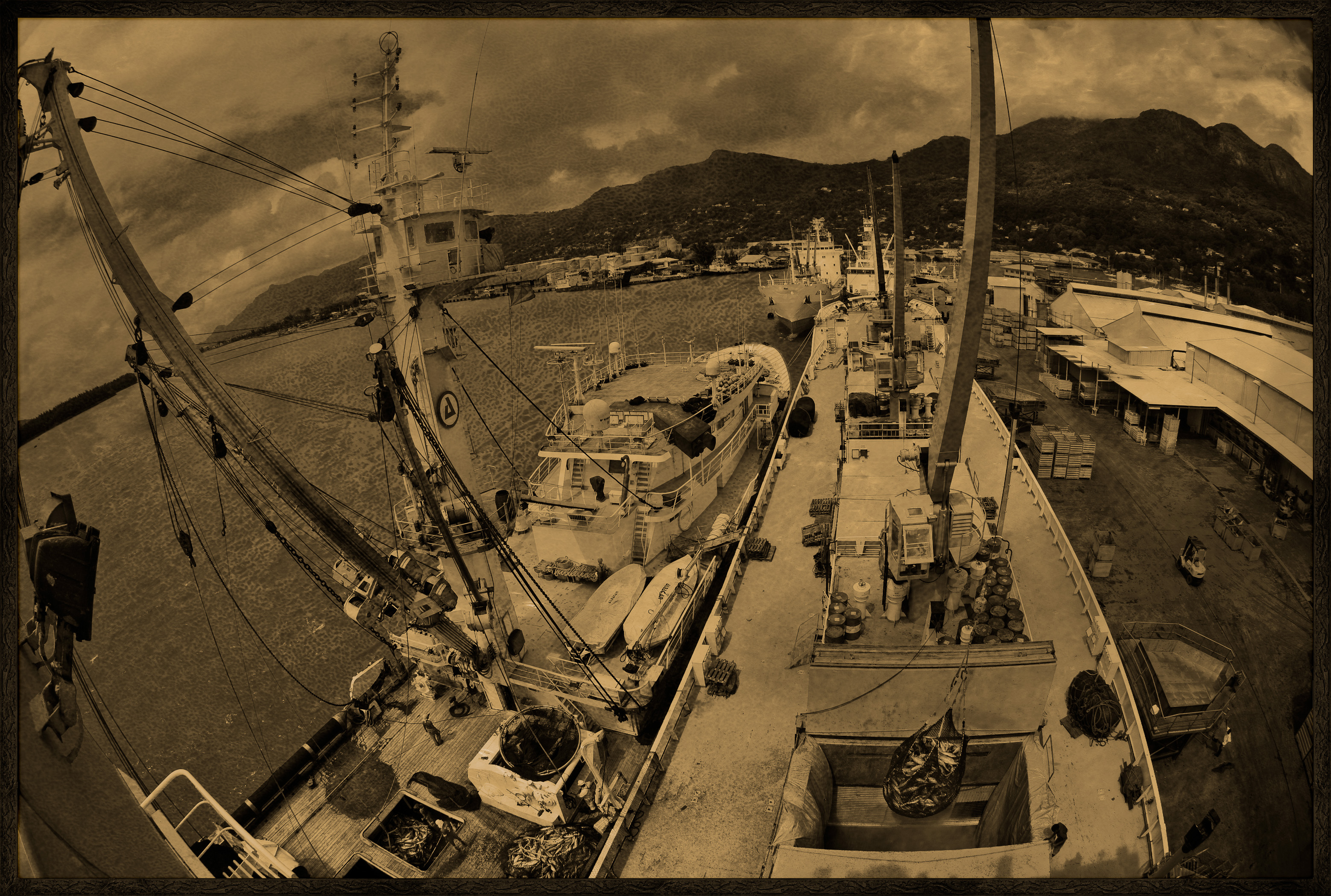 Seychelles, océan Indien, île de Mahé, Victoria, chargement de cargaison de thon à bord d'un cargo de fret sur le port de Victoria, premier port de transbordement de thon de l'océan Indien, vue créative, vue de dessus, MR-PR non // Seychelles, Indian Ocean, Mahe Island, Victoria, cargo loading on board a tuna freight cargo in the port of Victoria, the first Indian Ocean tuna transhipment port, creative view, top view, MR-PR no