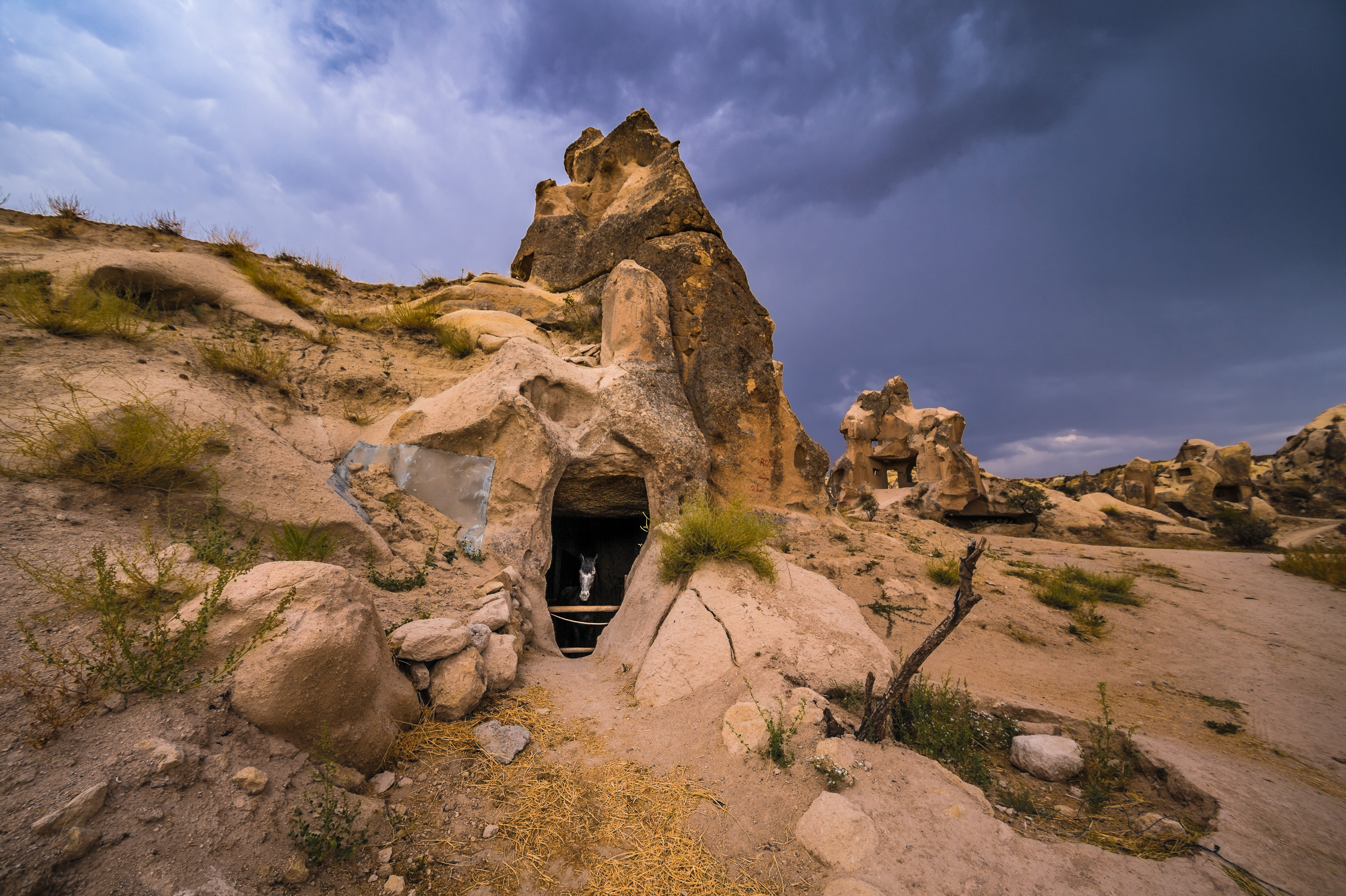 Turquie, Anatolie Centrale, province de Nevşehir, Cappadoce classée Patrimoine Mondial de l'UNESCO, Göreme, étalon dans un box troglodytique au milieu des collines de tuf volcanique, cheminées de fées et vestiges d'habitations troglodytiques dans le Parc National de Göreme // Turkey, Central Anatolia, Nevşehir province, Cappadocia UNESCO World Heritage Site, Göreme, stallion in a troglodyte box in the middle of the volcanic tuff hills, fairy chimneys and vestiges of troglodyte dwellings in the Göreme National Park