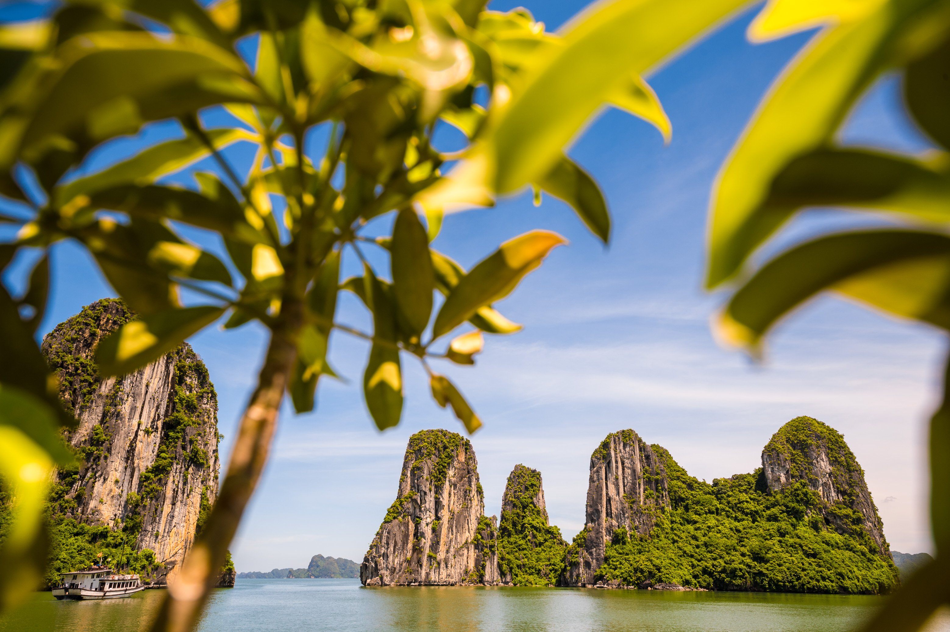 Asie du Sud-Est, Viêt Nam, golfe du Tonkin, Province de Quảng Ninh, Baie d'Ha-Long (Vịnh Hạ Long) inscrite au Patrimoine mondial de l'Unesco (1994), paysage emblématique aux reliefs karstiques // Southeast Asia, Vietnam, Gulf of Tonkin, Quang Ninh province, Ha Long Bay (Vinh Ha Long) on the UNESCO World Heritage (1994), iconic landscape of karst landforms