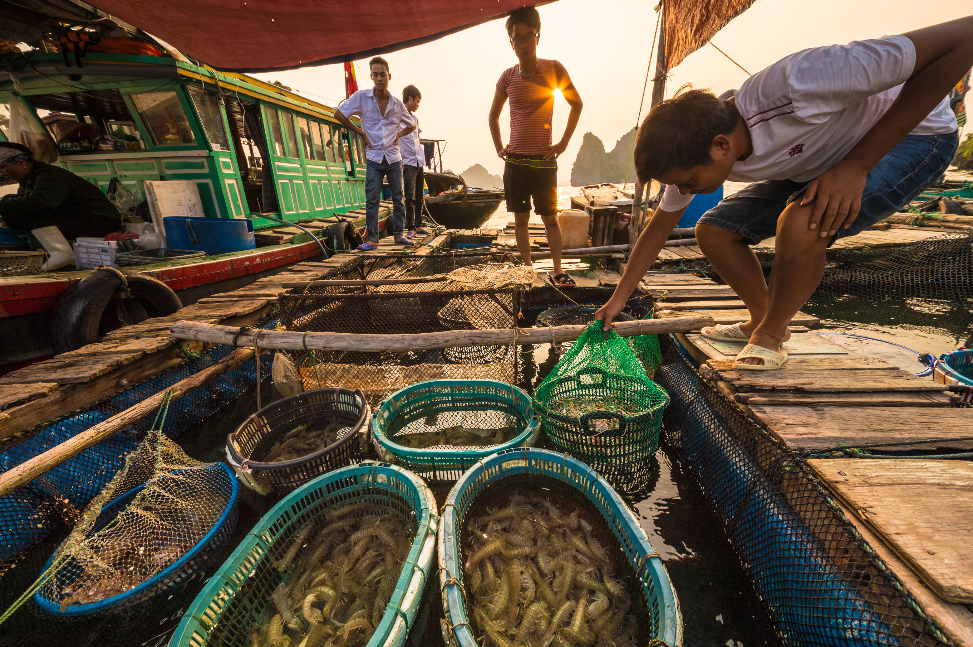 Asie du Sud-Est, Viêt Nam, golfe du Tonkin, Province de Quảng Ninh, Baie d'Ha-Long (Vịnh Hạ Long) inscrite au Patrimoine mondial de l'Unesco (1994), marché flottant au coucher du soleil // Southeast Asia, Vietnam, Gulf of Tonkin, Quang Ninh province, Ha Long Bay (Vinh Ha Long) on the UNESCO World Heritage (1994), floating market at sunset