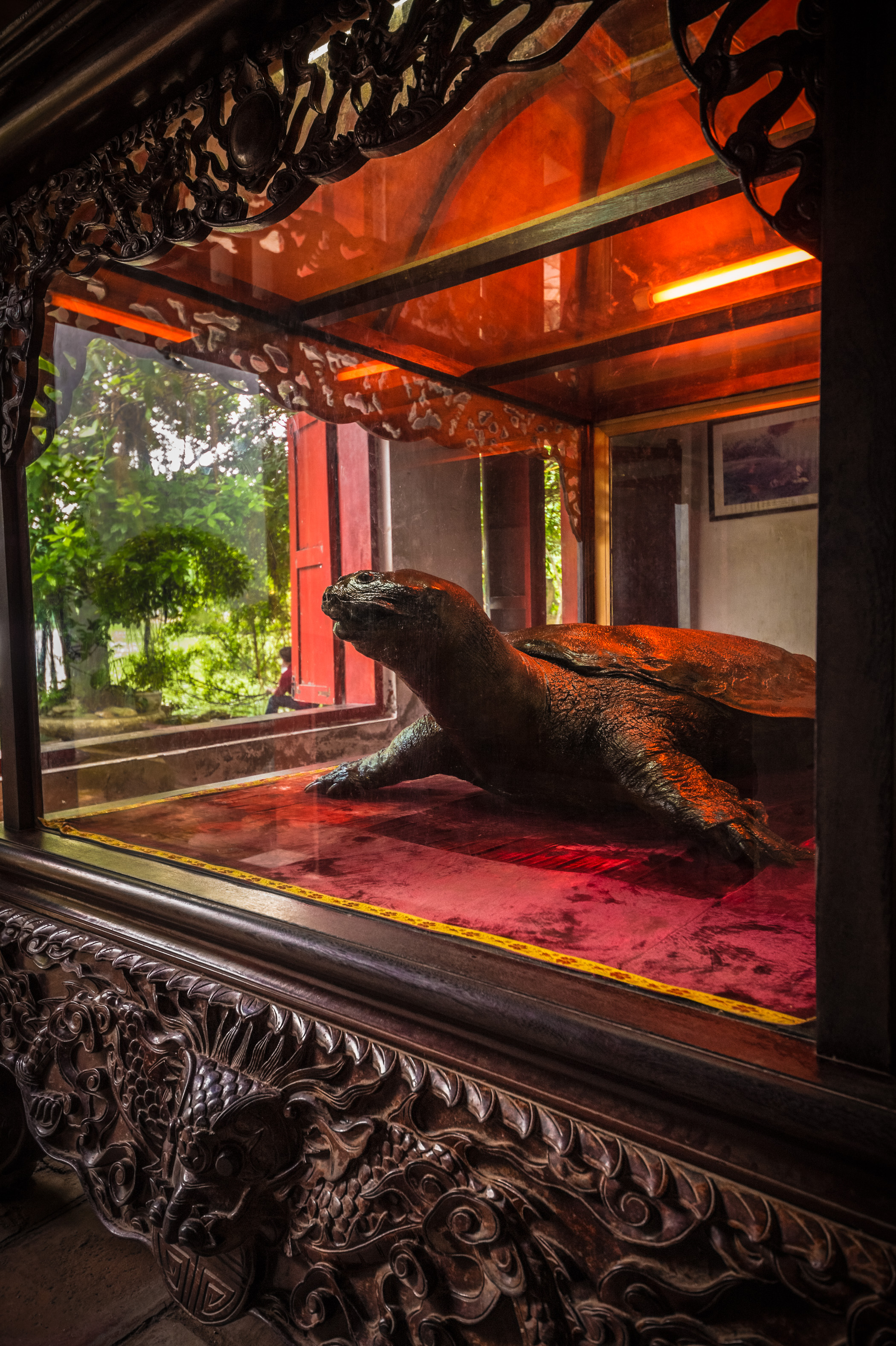 Asie du Sud-Est, capitale du Viêt Nam, delta du fleuve Rouge, ville de Hanoï, temple Ngọc Sơn - temple de la montagne de jade au milieu du lac Hoan Kiem - Hồ Hoàn Kiếm - le « lac de l'épée restituée », tortue sacrée taxidermisée // Southeast Asia, Vietnam's capital, Red River Delta, Hanoi, Ngọc Sơn Temple - Temple of the Jade Mountain in the middle of Hoan Kiem Lake - Ho Hoan Kiem - the "Sword Lake returned", taxidermised sacred turtle