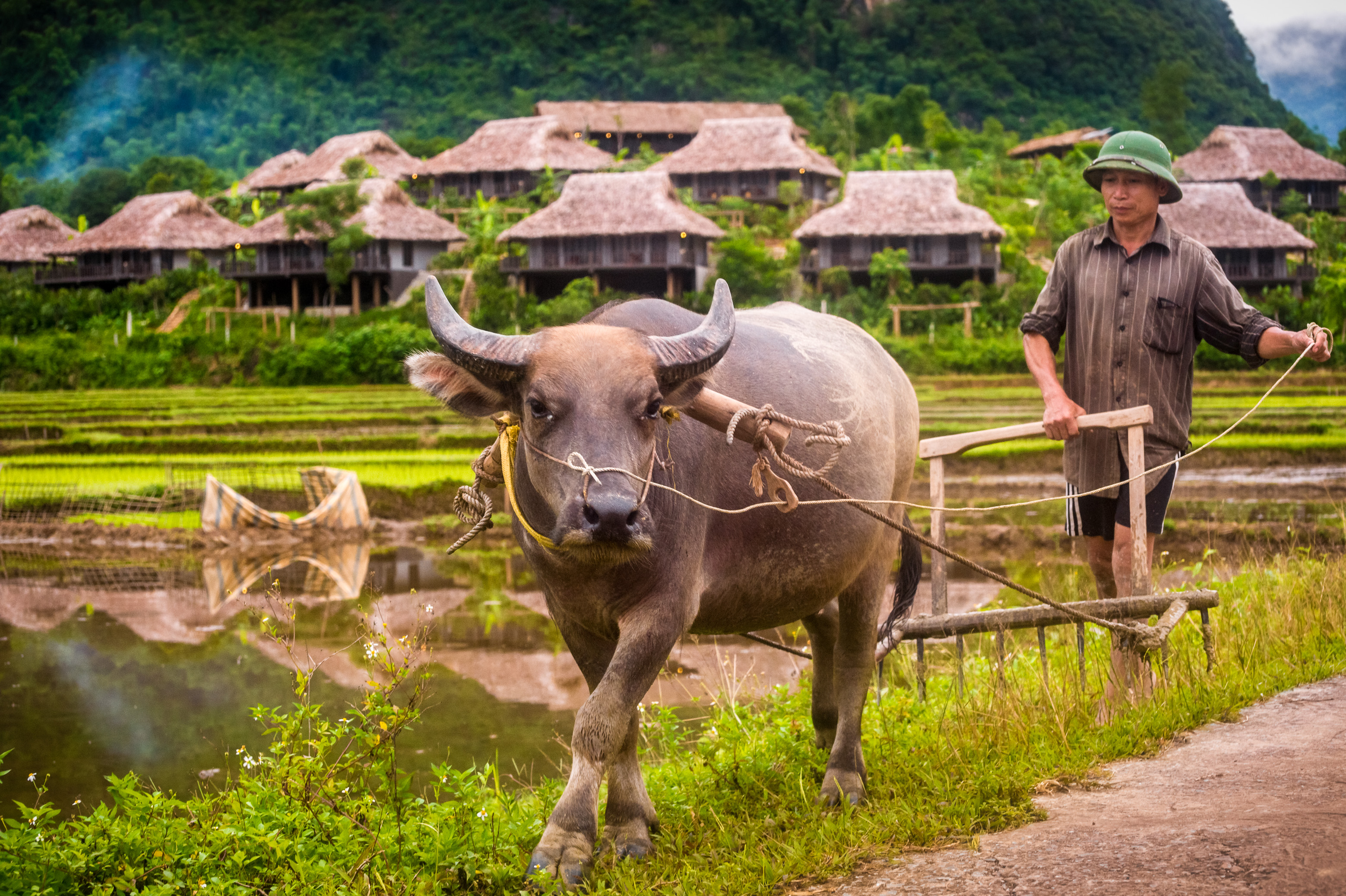 Mai Chau écolodge, premier écolodge de luxe du pays / Photos : Aurélien BRUSINI