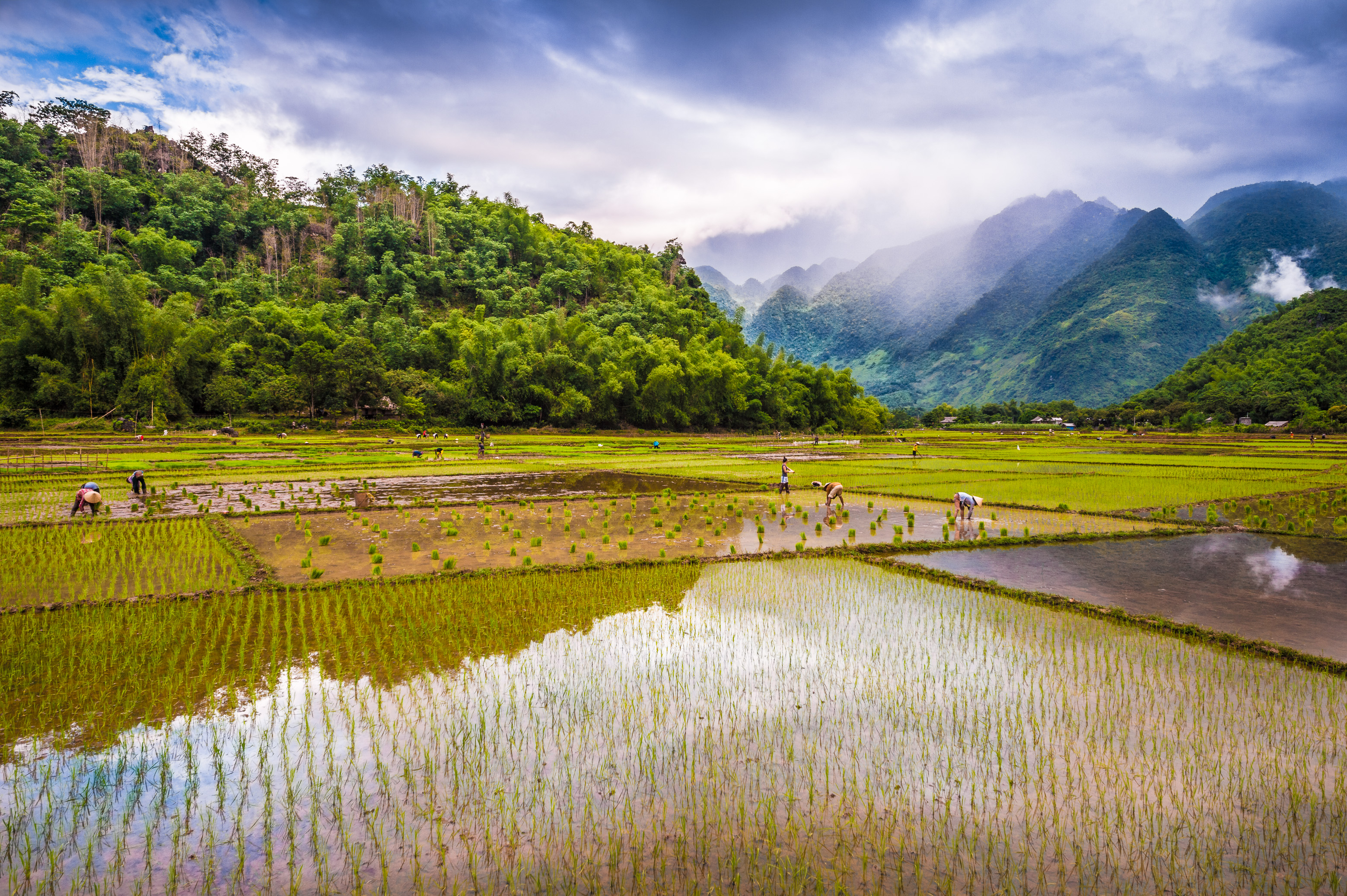 Mai Chau écolodge, premier écolodge de luxe du pays / Photos : Aurélien BRUSINI
