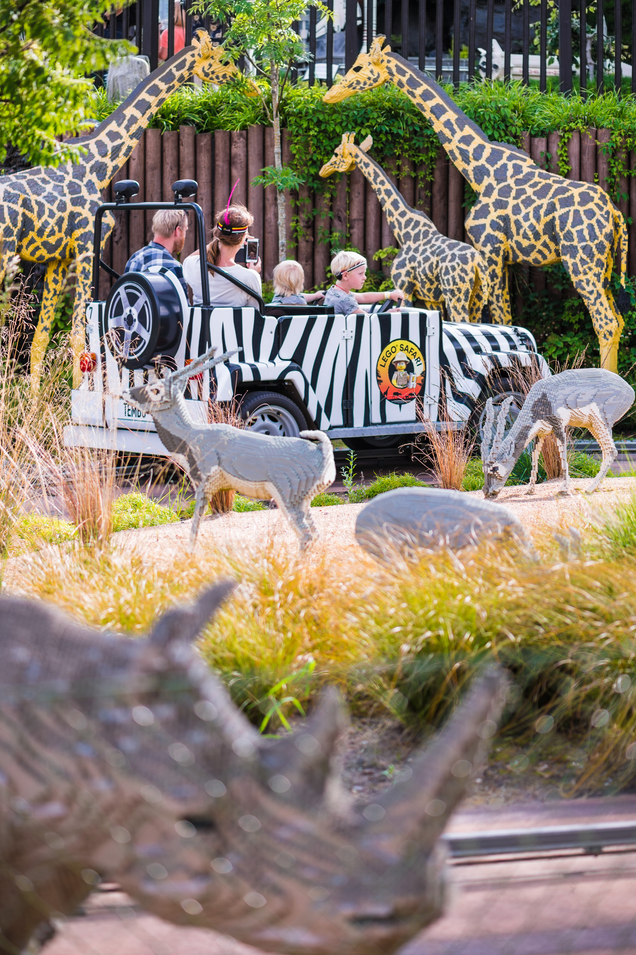 Danemark, Jutland, Billund, Legoland® Billund est le tout premier parc Legoland créé en 1968, près du siège de l'entreprise Lego® (le terme Lego est dérivé du danois «Leg godt» qui signifie «joue bien»), il est composé des espaces suivants : ici Lego® Safari avec ses animaux en sculptures de briques en taille réelle dans Miniland - véritable monde miniature animé, Legoredo Town, Imagination Zone, Knights' Kingdom, DUPLO Land, Pirate Land, LEGO City, Dino Island, Fun Town, Adventure Land, LEGO X-Treme, Traffic, Kingdom of The Pharaohs, Land of The Vikings, PR // Denmark, Jutland, Billund, Legoland® Billund is the first Legoland Park established in 1968, near the headquarters of the Lego® company (the term Lego is derived from the Danish "Leg godt" meaning "plays well"), it is consisting of the following spaces: here Lego® Safari with its animals in full-size brick sculptures in Miniland - real animated miniature world, Legoredo Town, Imagination Zone, Knights' Kingdom, DUPLO Land, Pirate Land, LEGO City, Dino Island, Fun Town, LEGO X-Treme, Land Adventure, Traffic, Kingdom of The Pharaohs, Land of The Vikings, PR