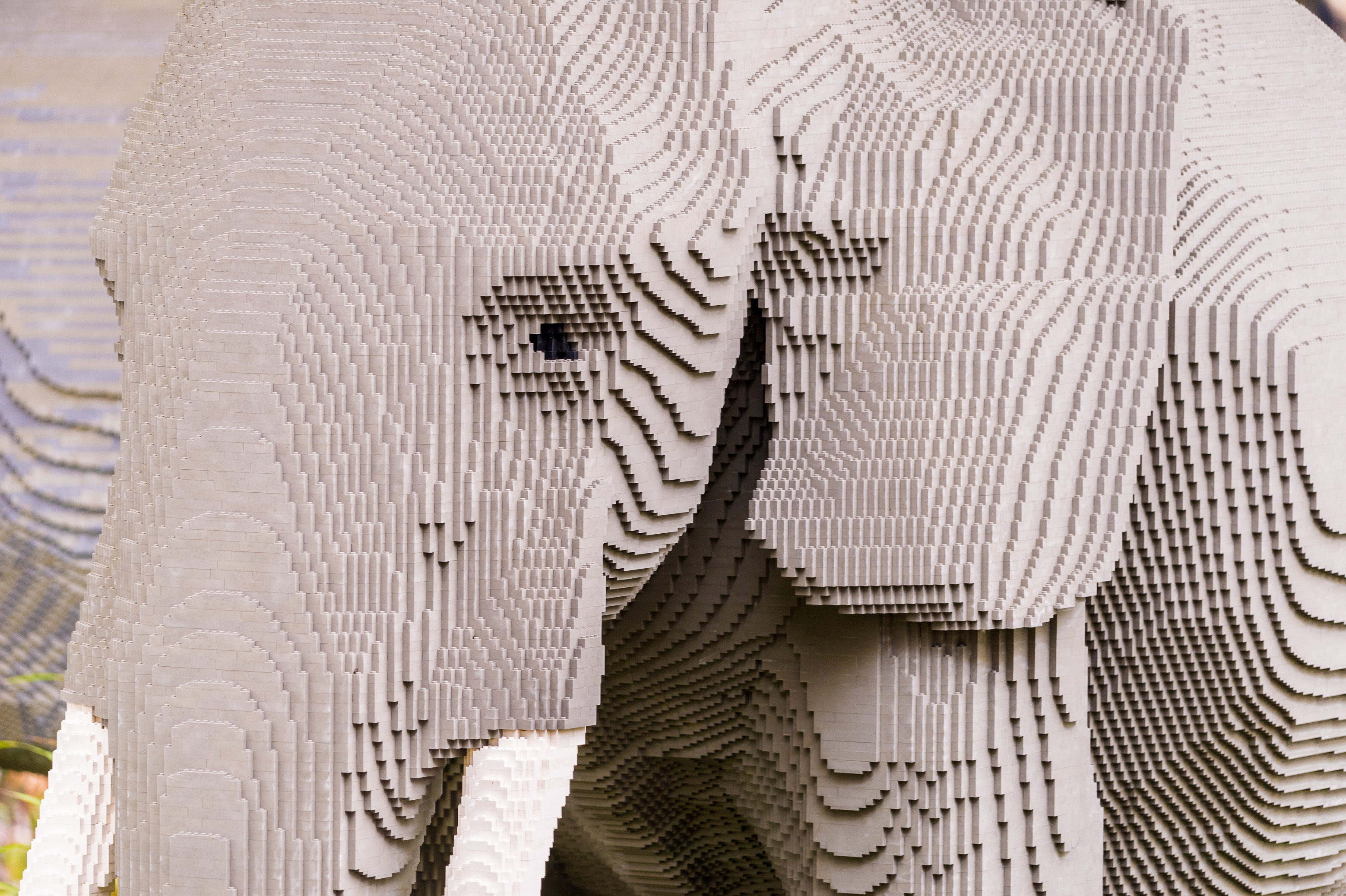 Danemark, Jutland, Billund, Legoland® Billund est le tout premier parc Legoland créé en 1968, près du siège de l'entreprise Lego® (le terme Lego est dérivé du danois «Leg godt» qui signifie «joue bien»), il est composé des espaces suivants : ici Lego® Safari avec ses animaux en sculptures de briques en taille réelle dans Miniland - véritable monde miniature animé, Legoredo Town, Imagination Zone, Knights' Kingdom, DUPLO Land, Pirate Land, LEGO City, Dino Island, Fun Town, Adventure Land, LEGO X-Treme, Traffic, Kingdom of The Pharaohs, Land of The Vikings, PR // Denmark, Jutland, Billund, Legoland® Billund is the first Legoland Park established in 1968, near the headquarters of the Lego® company (the term Lego is derived from the Danish "Leg godt" meaning "plays well"), it is consisting of the following spaces: here Lego® Safari with its animals in full-size brick sculptures in Miniland - real animated miniature world, Legoredo Town, Imagination Zone, Knights' Kingdom, DUPLO Land, Pirate Land, LEGO City, Dino Island, Fun Town, LEGO X-Treme, Land Adventure, Traffic, Kingdom of The Pharaohs, Land of The Vikings, PR