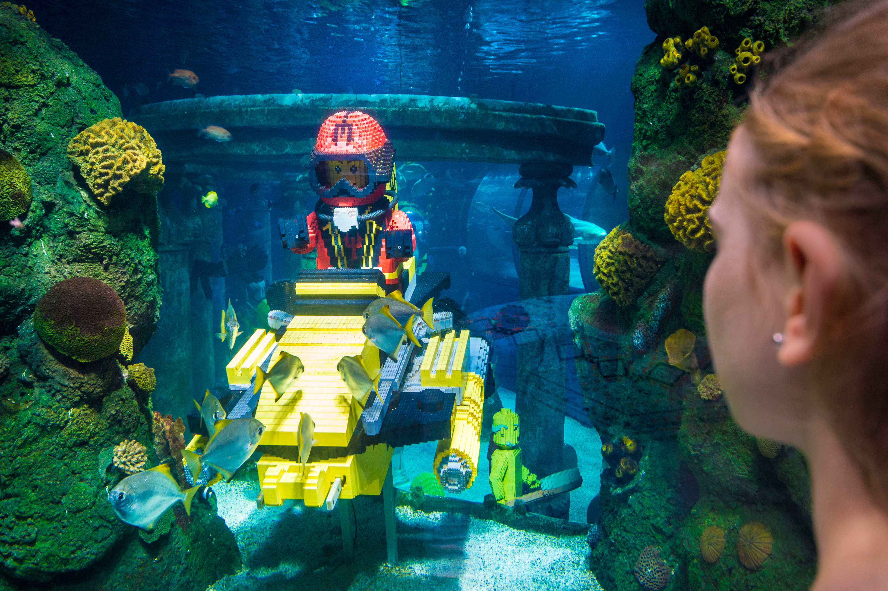 Danemark, Jutland, Billund, Legoland® Billund est le tout premier parc Legoland créé en 1968, près du siège de l'entreprise Lego® (le terme Lego est dérivé du danois «Leg godt» qui signifie «joue bien»), il est composé des espaces suivants : Miniland, Legoredo Town, ici Atlantis et son aquarium mêlant faune sous-marine et sculptures en briques dans l'Imagination Zone, mais aussi Knights' Kingdom, DUPLO Land, Pirate Land, LEGO City, Dino Island, Fun Town, Adventure Land, LEGO X-Treme, Traffic, Kingdom of The Pharaohs, Land of The Vikings, MR PR // Denmark, Jutland, Billund, Legoland® Billund is the first Legoland Park established in 1968, near the headquarters of the Lego® company (the term Lego is derived from the Danish "Leg godt" meaning "plays well"), it is composed of the following areas: Miniland, Legoredo Town, here Atlantis and its aquarium mixing underwater fauna and brick sculptures in the Imagination Zone, but also Knights' Kingdom, DUPLO Land, Pirate Land, LEGO City, Dino Island, Fun Town , Adventure Land, LEGO X-Treme, Traffic, Kingdom of the Pharaohs, Land of The Vikings, MR PR