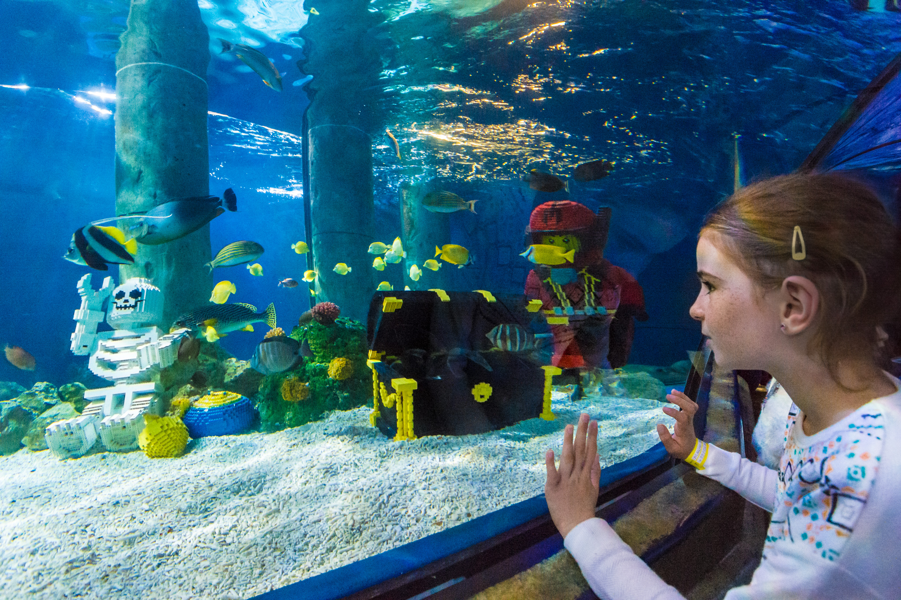 Danemark, Jutland, Billund, Legoland® Billund est le tout premier parc Legoland créé en 1968, près du siège de l'entreprise Lego® (le terme Lego est dérivé du danois «Leg godt» qui signifie «joue bien»), il est composé des espaces suivants : Miniland, Legoredo Town, ici Atlantis et son aquarium mêlant faune sous-marine et sculptures en briques dans l'Imagination Zone, mais aussi Knights' Kingdom, DUPLO Land, Pirate Land, LEGO City, Dino Island, Fun Town, Adventure Land, LEGO X-Treme, Traffic, Kingdom of The Pharaohs, Land of The Vikings, MR PR // Denmark, Jutland, Billund, Legoland® Billund is the first Legoland Park established in 1968, near the headquarters of the Lego® company (the term Lego is derived from the Danish "Leg godt" meaning "plays well"), it is composed of the following areas: Miniland, Legoredo Town, here Atlantis and its aquarium mixing underwater fauna and brick sculptures in the Imagination Zone, but also Knights' Kingdom, DUPLO Land, Pirate Land, LEGO City, Dino Island, Fun Town , Adventure Land, LEGO X-Treme, Traffic, Kingdom of the Pharaohs, Land of The Vikings, MR PR
