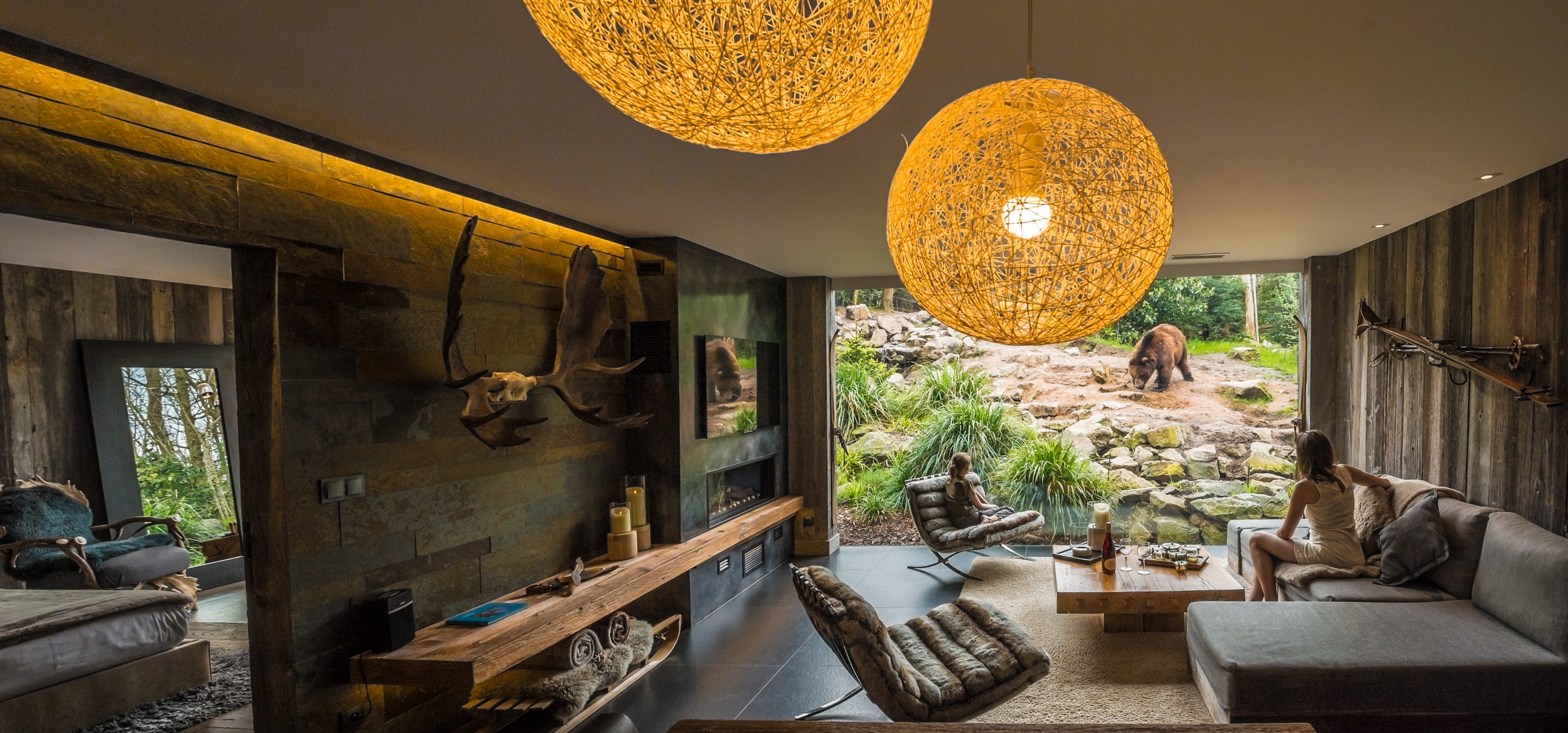 Europe, France, région du Val-de-Loire, département de la Sarthe (72), Le Tertre Rouge (72200) La Flèche, Zoo de la Flèche, hébergement insolite en famille au Beaver Creek Lodge pour un face à face intime avec les ours du Kamtchatka (ursus arctos beringianus), Statut de Protection - Convention de Washington Annexe II A (CITES), Statut UICN - Risque minimum – Préoccupation mineure (LR-lc), ici au salon, PR, MR // Europe, France, Val-de-Loire, Sarthe (72), Le Tertre Rouge (72200) La Flèche, La Flèche Zoo, Unusual family accommodation at Beaver Creek Lodge for an intimate face to face with Kamchatka bears (Ursus arctos beringianus), Protection Status - Washington Convention Appendix II A (CITES), IUCN Statute - Minimum Risk - Least Concern (LR- lc), here in the living room, PR, MR